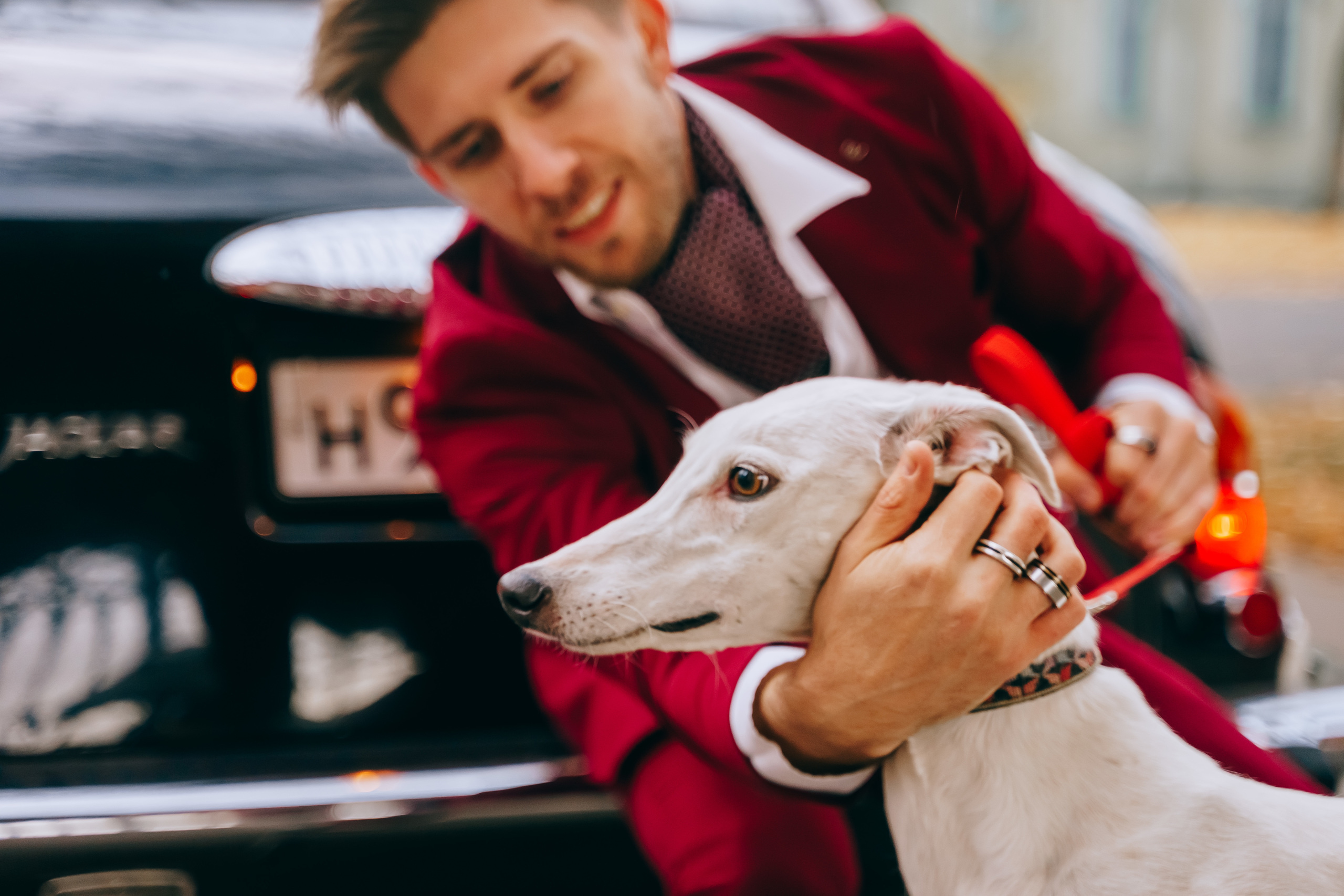 Aristocracy. Photographer Natalia Baranova