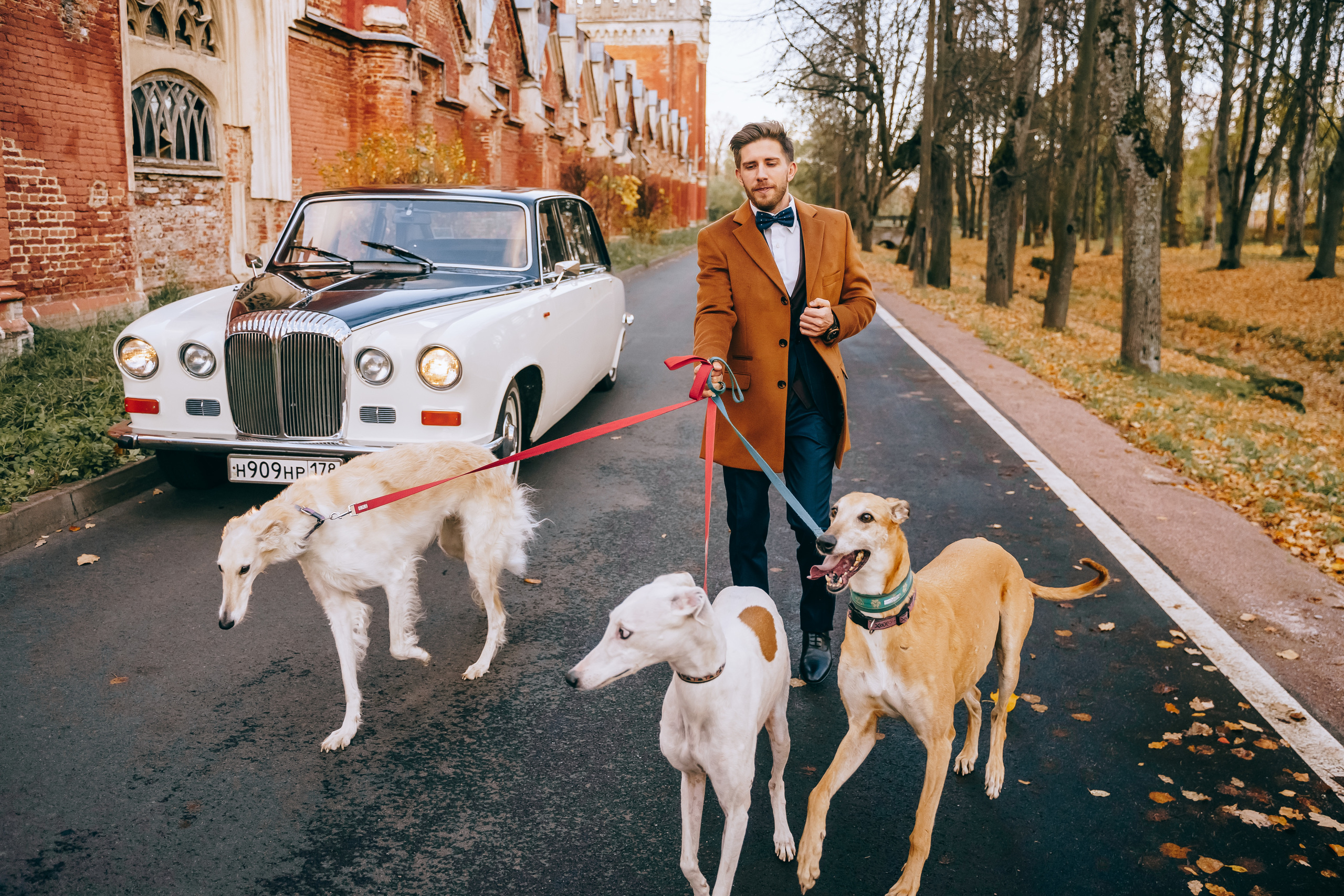 Aristocracy. Photographer Natalia Baranova