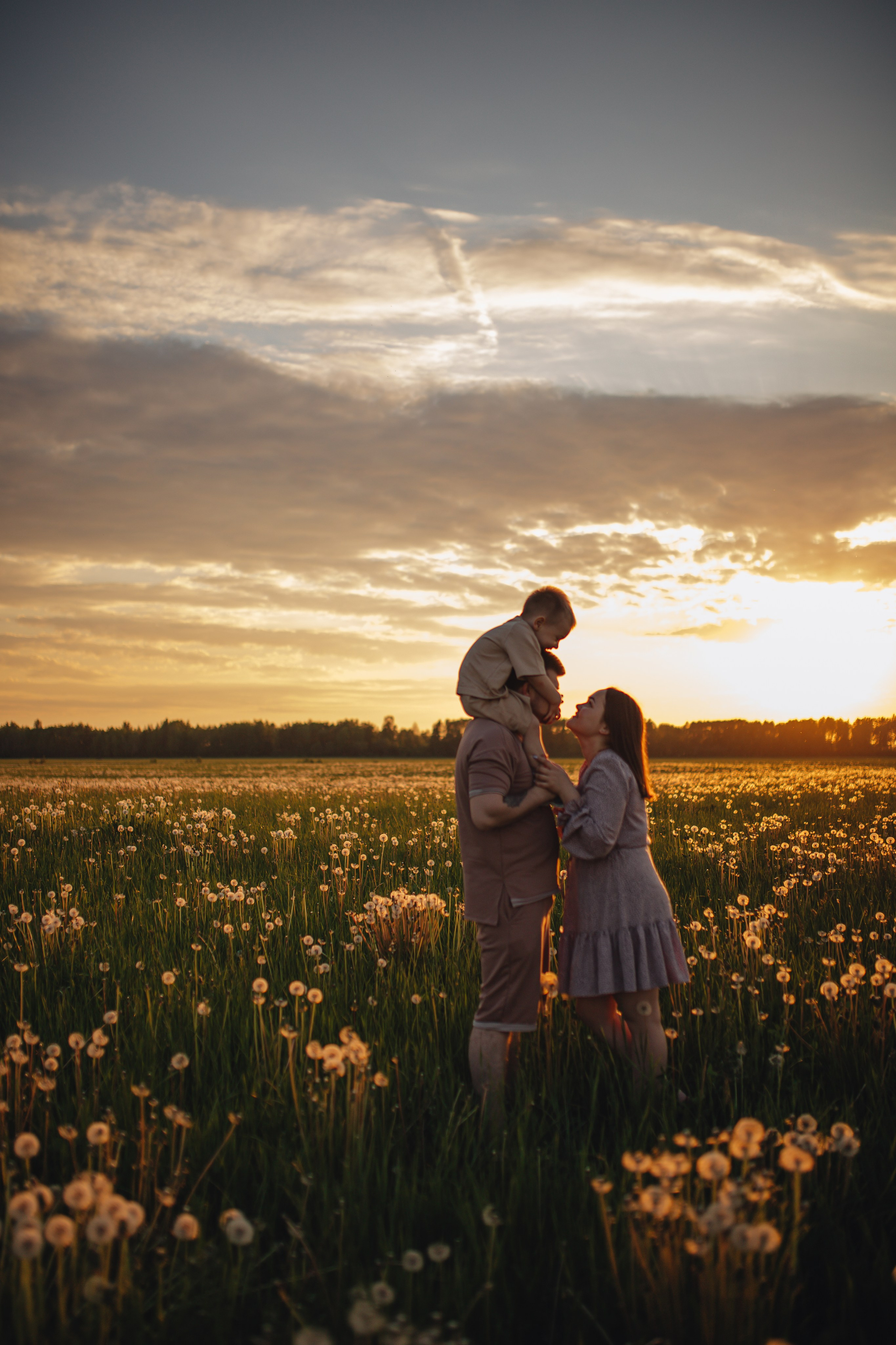 В поле на закате. Фотограф Винокурова Кристина в Санкт-Петербурге
