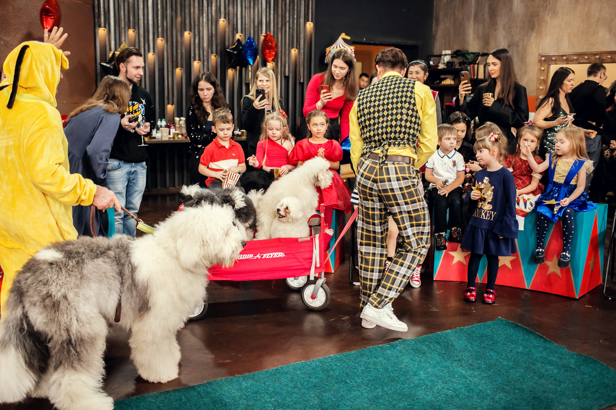 Насте 5 лет. Детский и семейный фотограф в Москве Анна Ипатьева