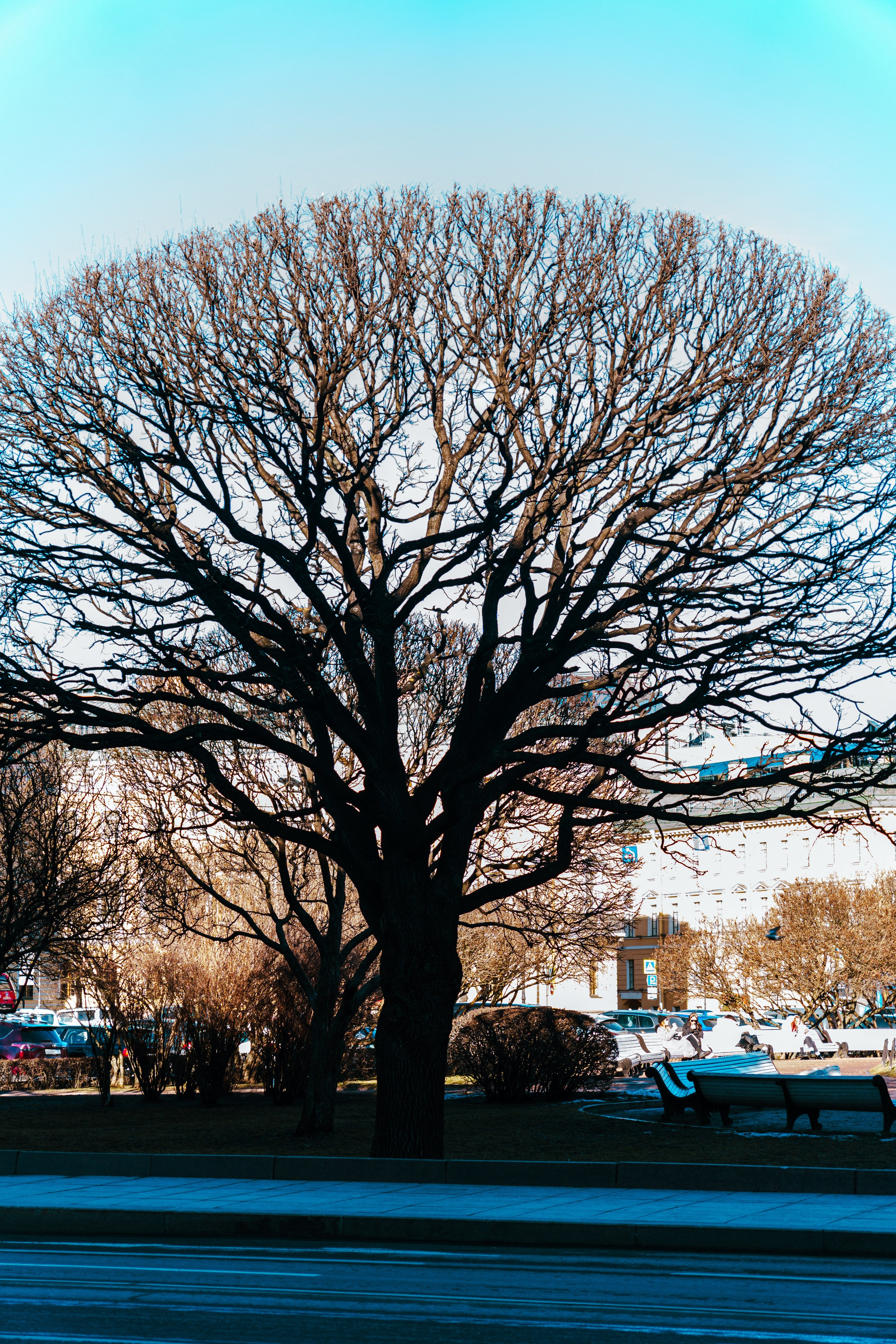 Санкт-Петербург. Фотограф в Санкт-Петербурге Ибрагимова Алина