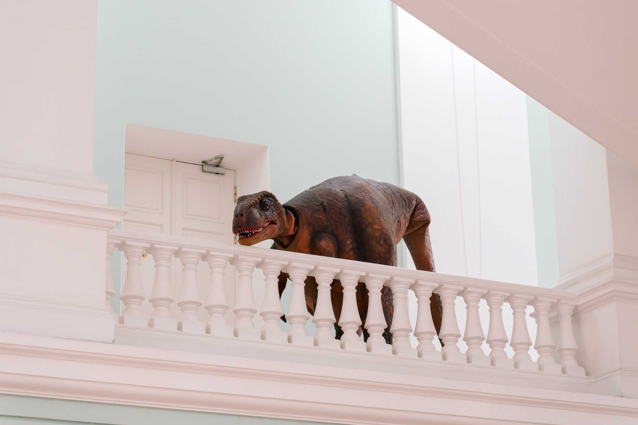 Первый чемпионат мира по геологии 2025. Фотограф в Санкт-Петербурге Ибрагимова Алина