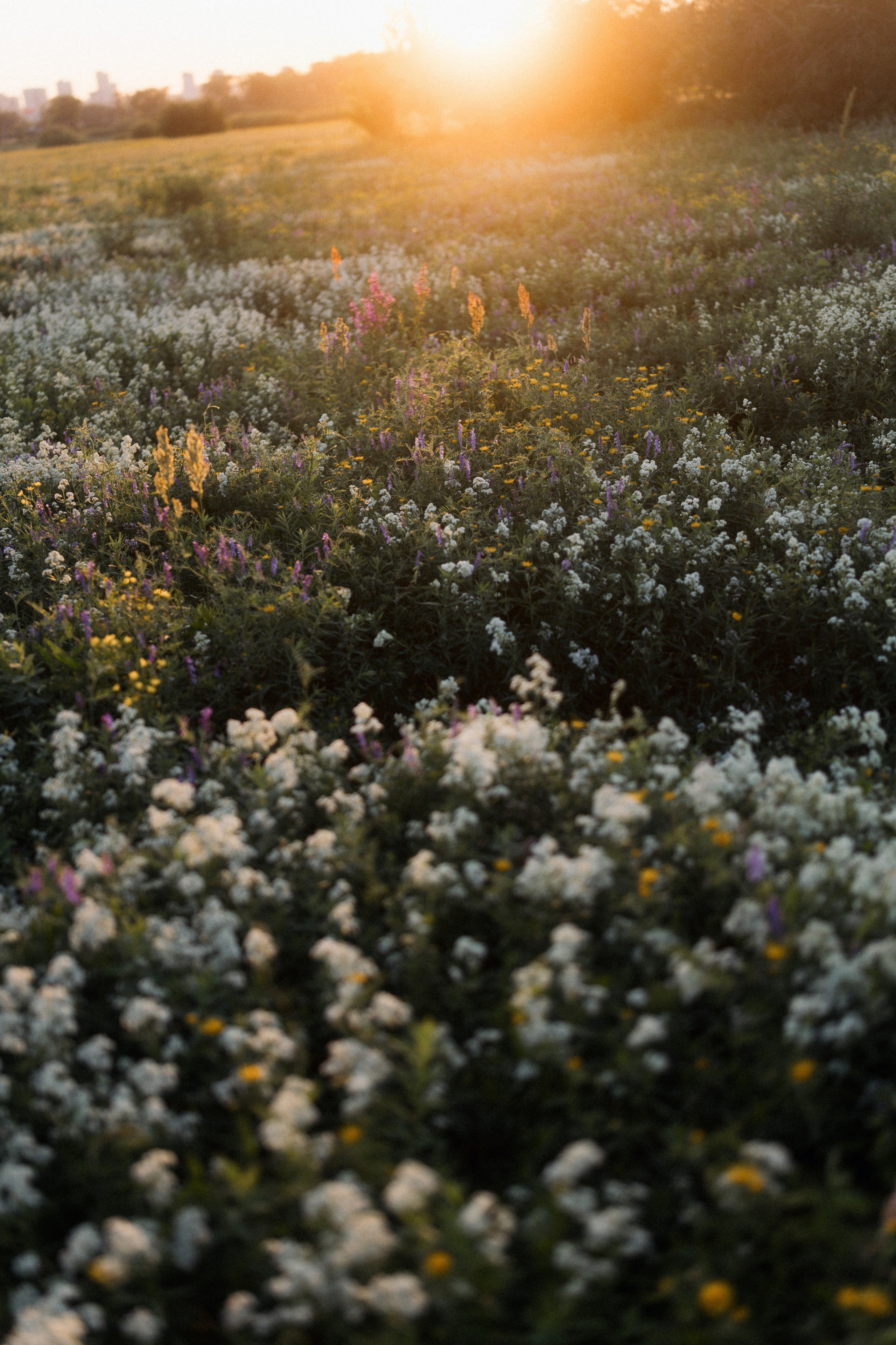 Маша и Адель. Ланемец Юлия — фотограф Волгоград/Волжский