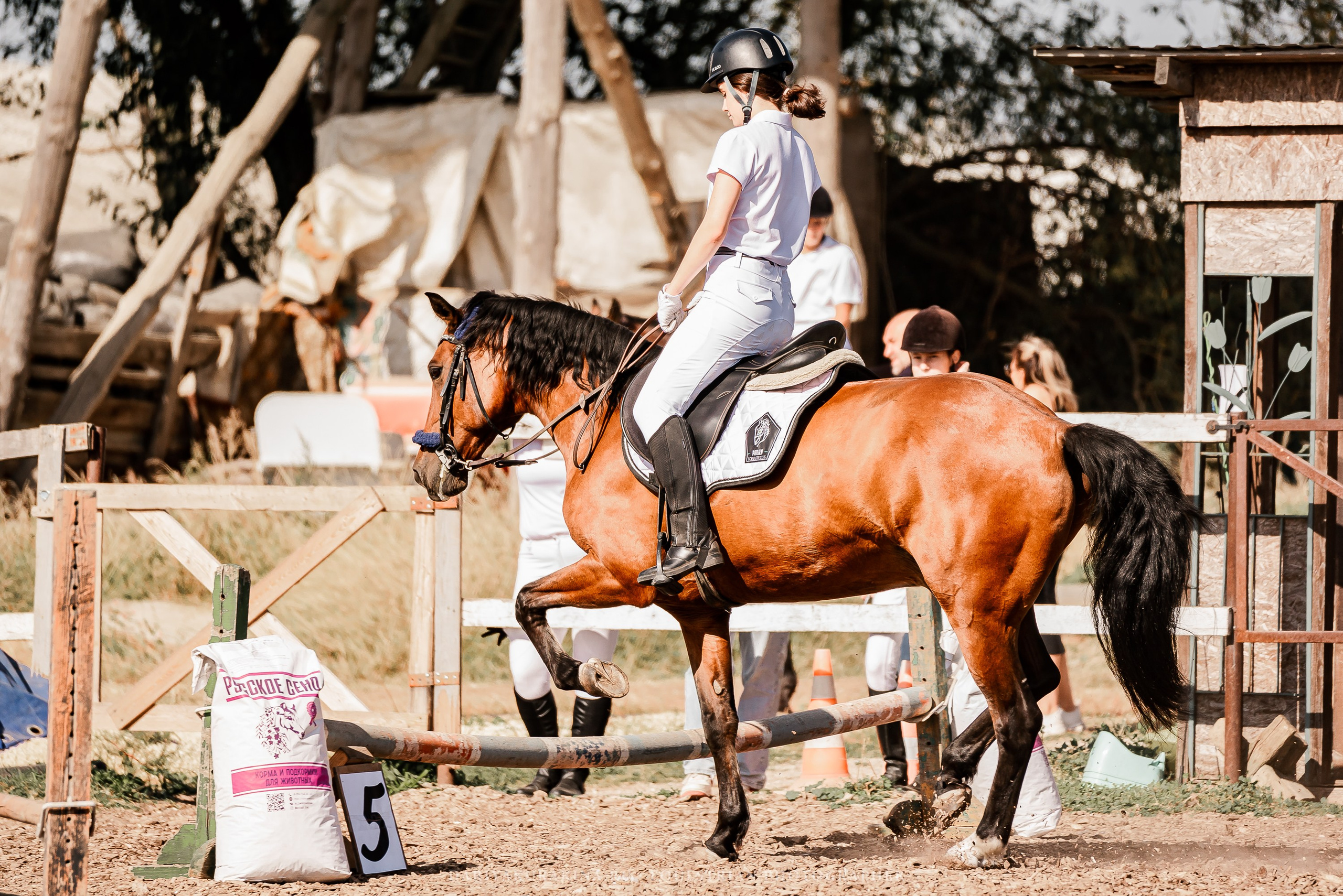 Соревнования по конкуру в КБ «КАЗАЧИЙ ДОЗОР». Конный фотограф Куракина Дарья • Фотосессии с лошадьми
