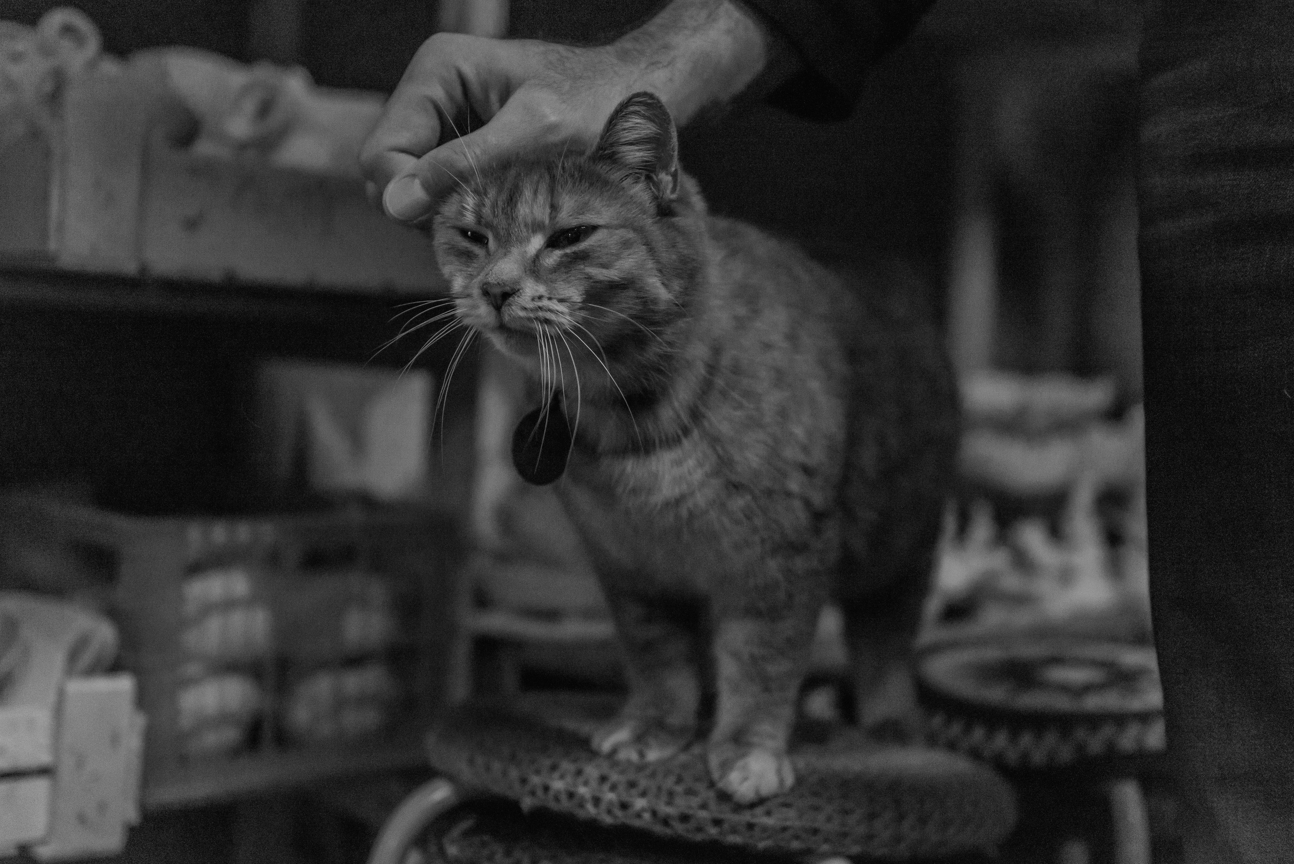 День рождение. Съемка праздника. Пакет услуг Репортаж. Семейный фотограф в Братске Маклакова Татьяна