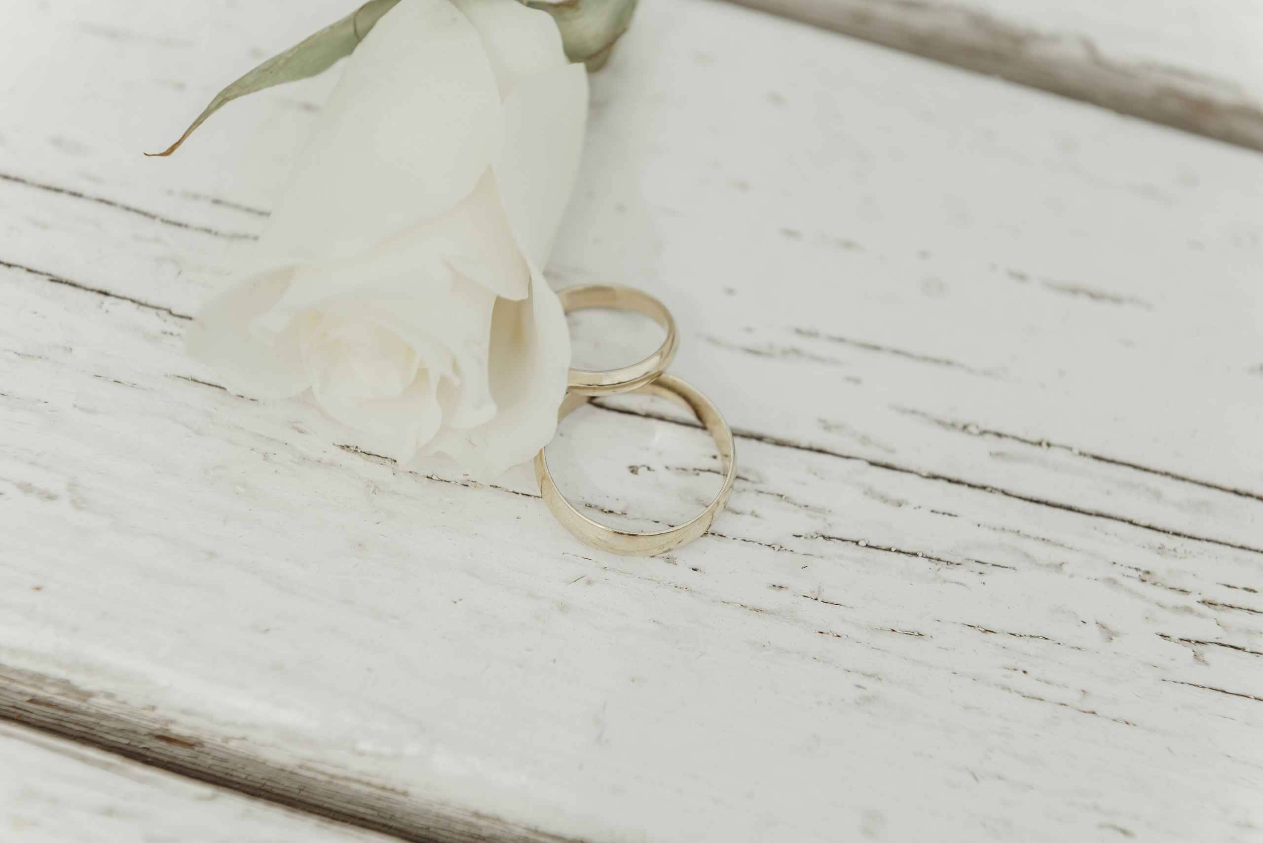 Прогулка. Свадебный день. Семейный фотограф в Братске Маклакова Татьяна