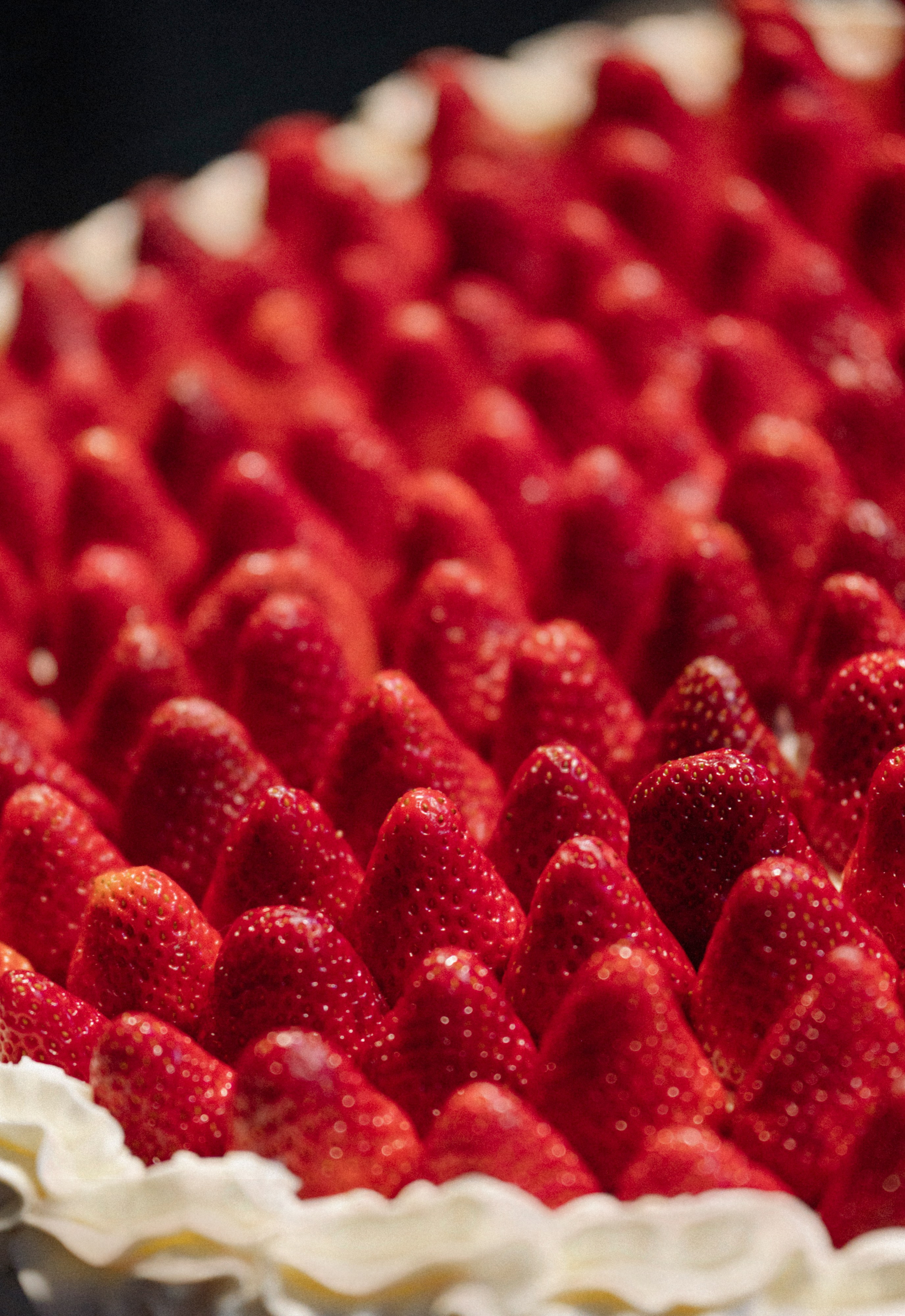 25.05.2025. Свадебный фотограф во Владивостоке Гарагуля Игорь