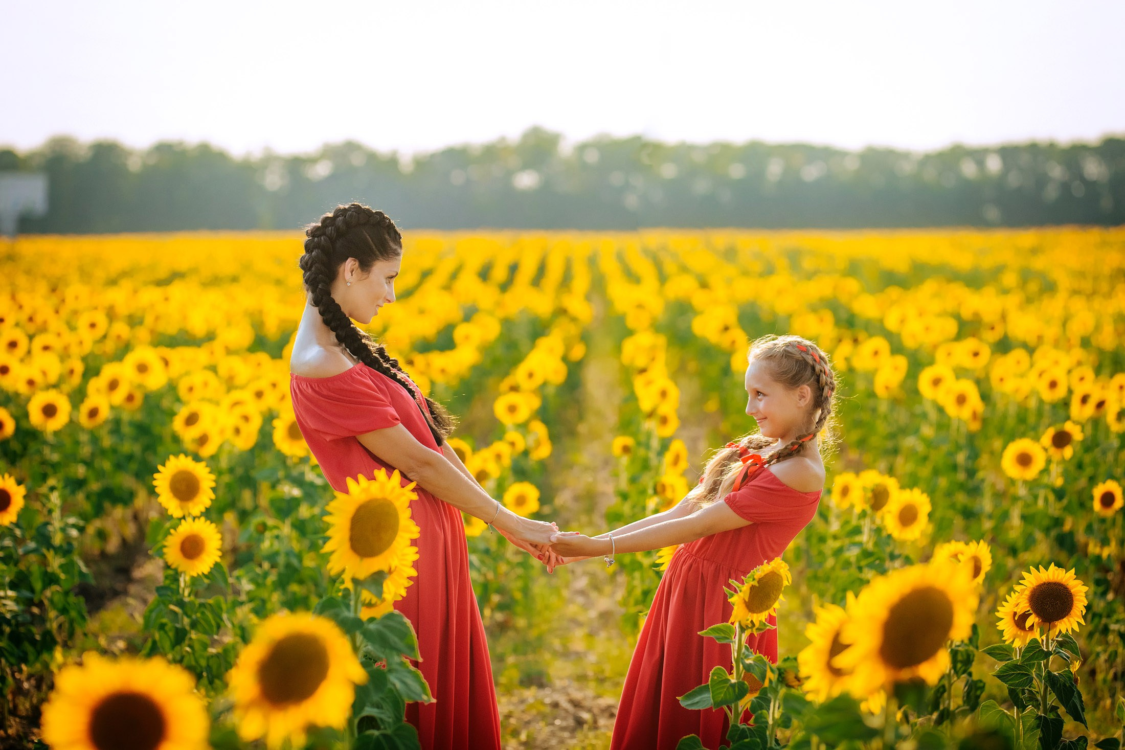Подсолнухи!. Семейный, детский, свадебный, фотограф в городе Анапа