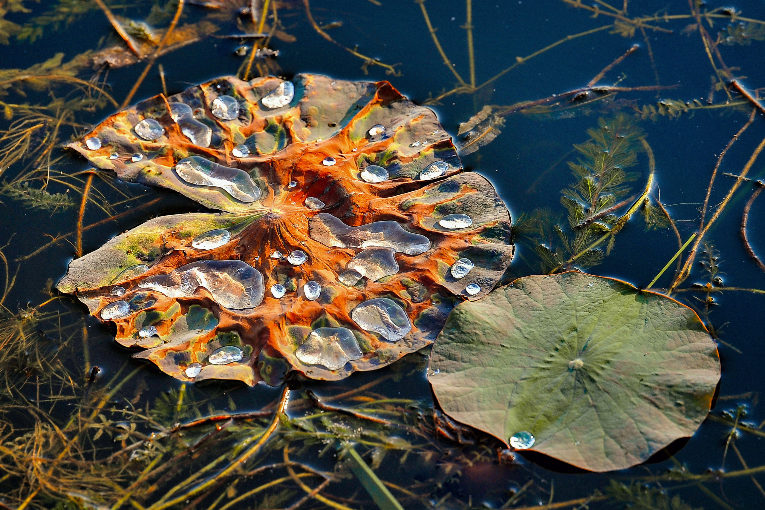 Загадочный Китай. FotoGraf