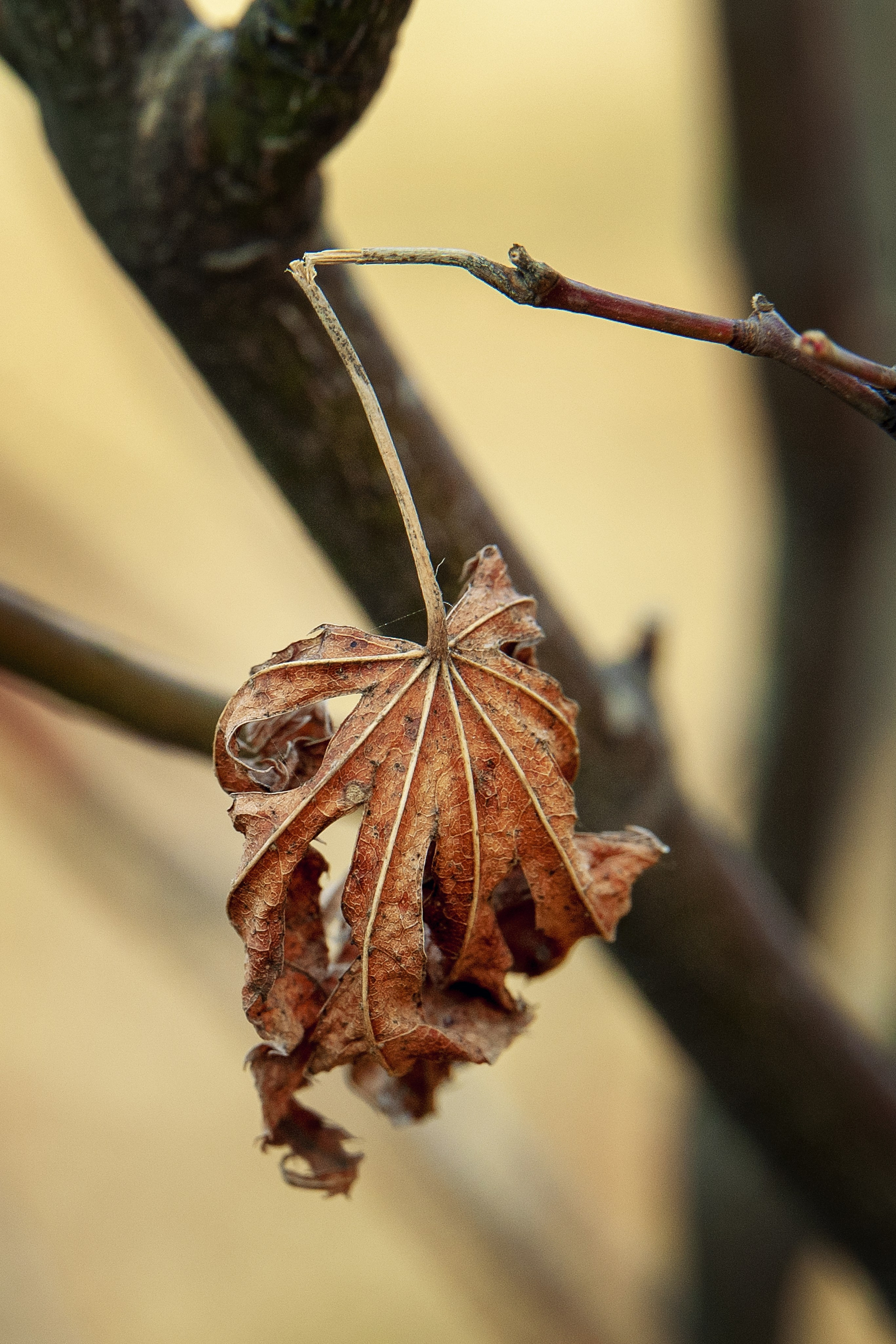 Осень. FotoGraf