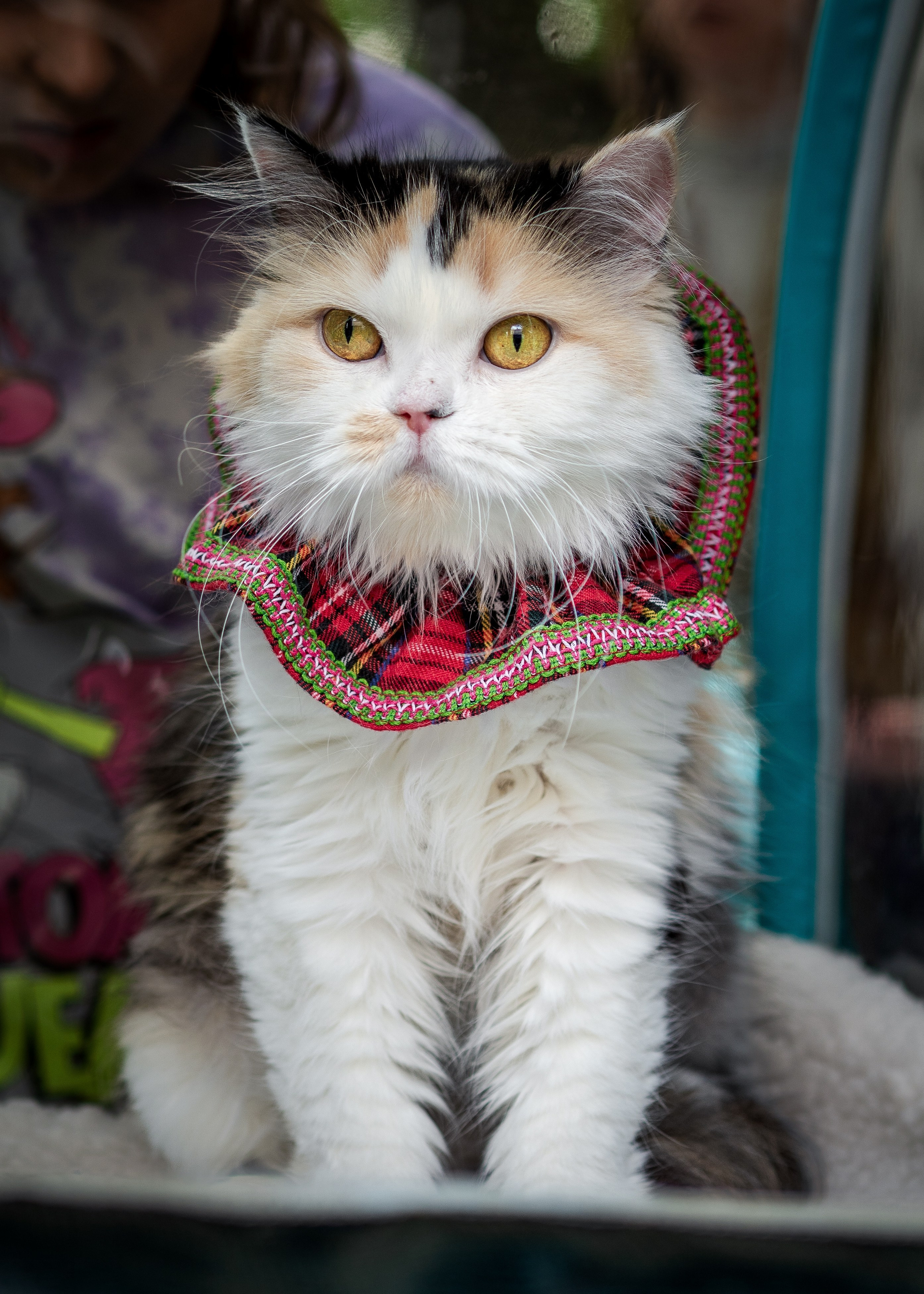 Анималистика. Сайт портфолио двух профессиональных фотографов