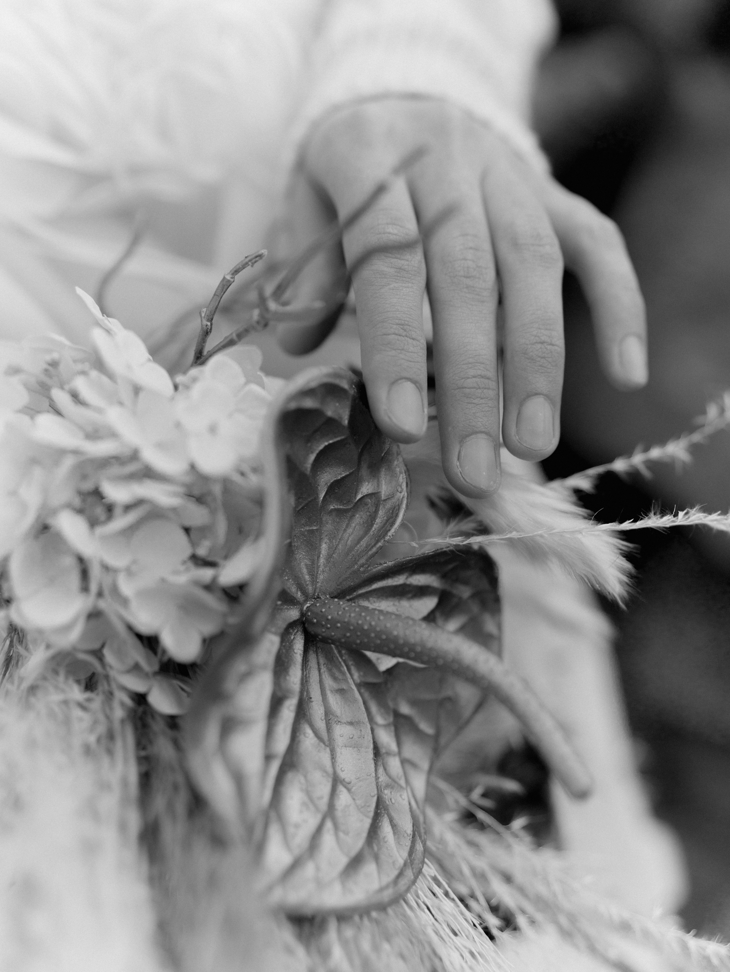 Свадебная съемка Сабрины и Рувима. Свадебный фотограф Ирина Беляева Пятигорск|Кисловодск|Эльбрус|Домбай