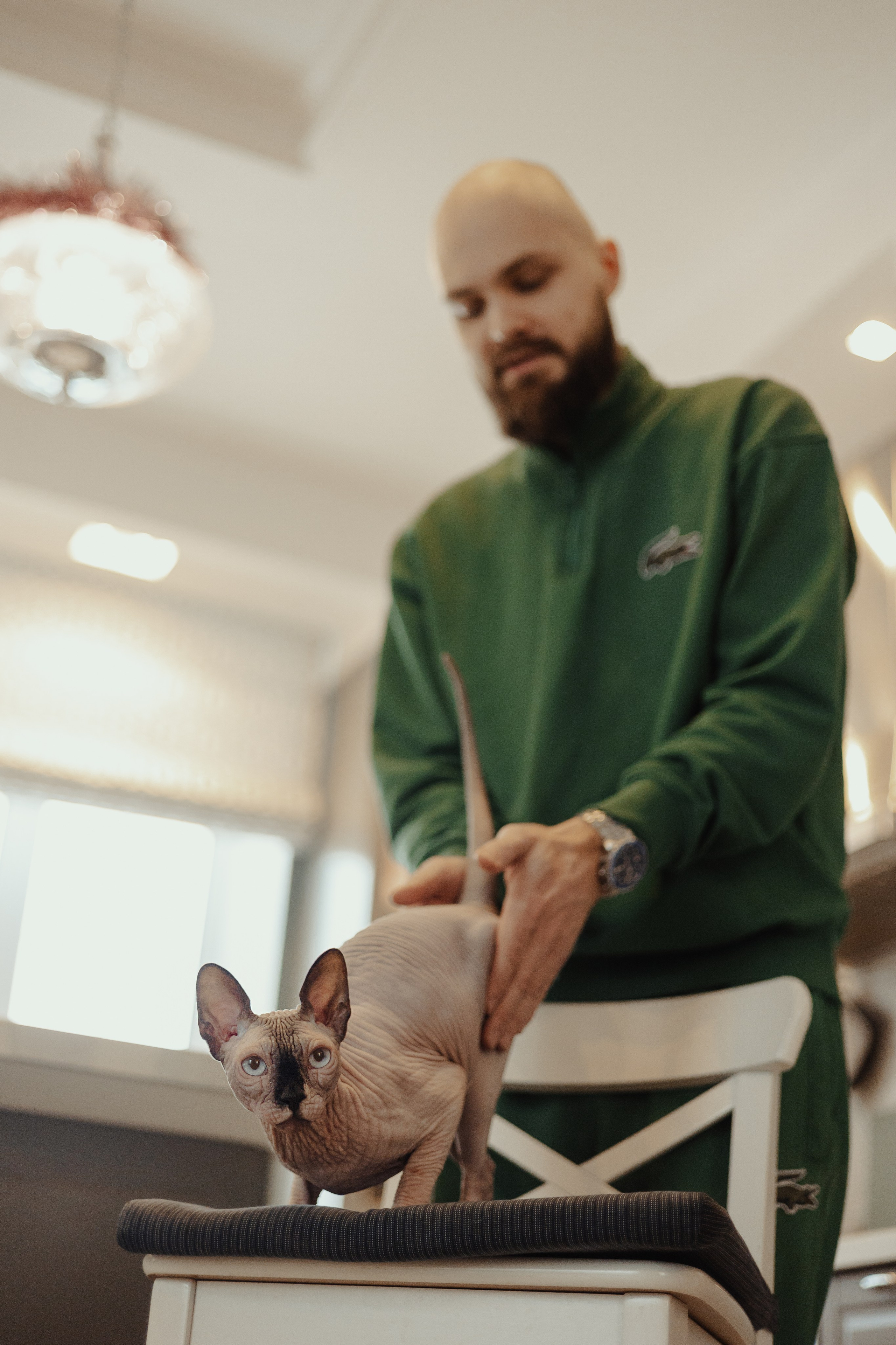 Алина, Илья и их хвосты. Фотограф Анималист Екатерина Справцева в Нижнем Новгороде
