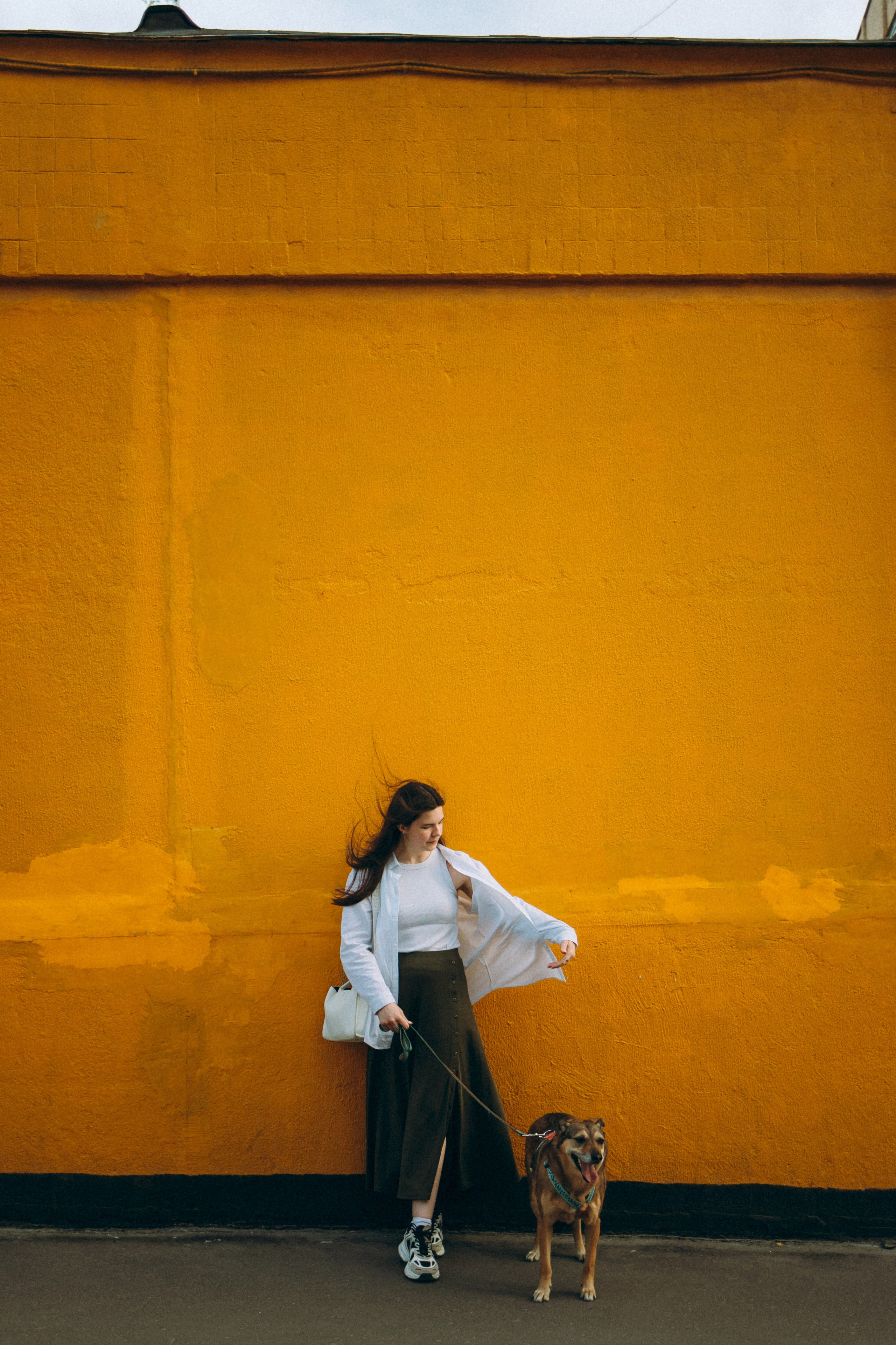 Глаша, Айрон, Ксюша и Оля. Фотограф анималист Анастасия Пикей