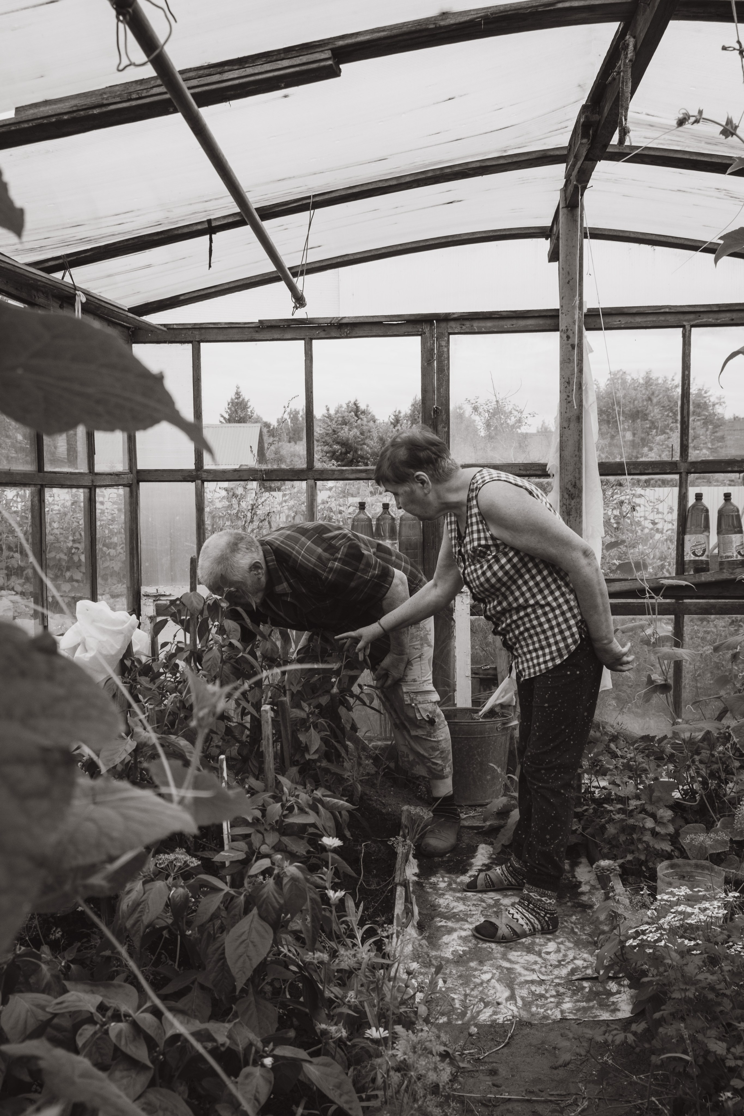 Сергей и Вера. Фотограф Евгения Войко Тюмень