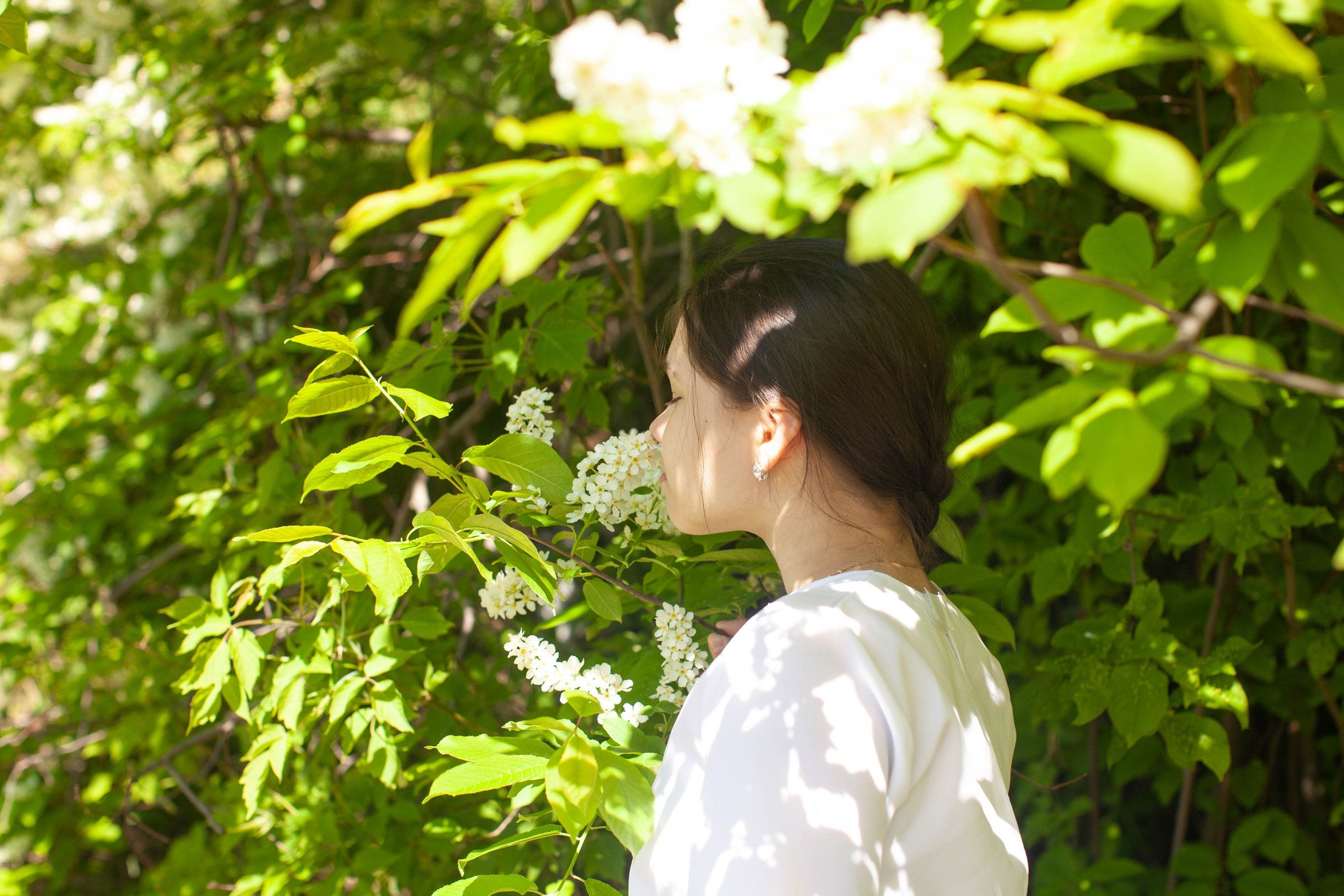 Летний день. Art my Pho