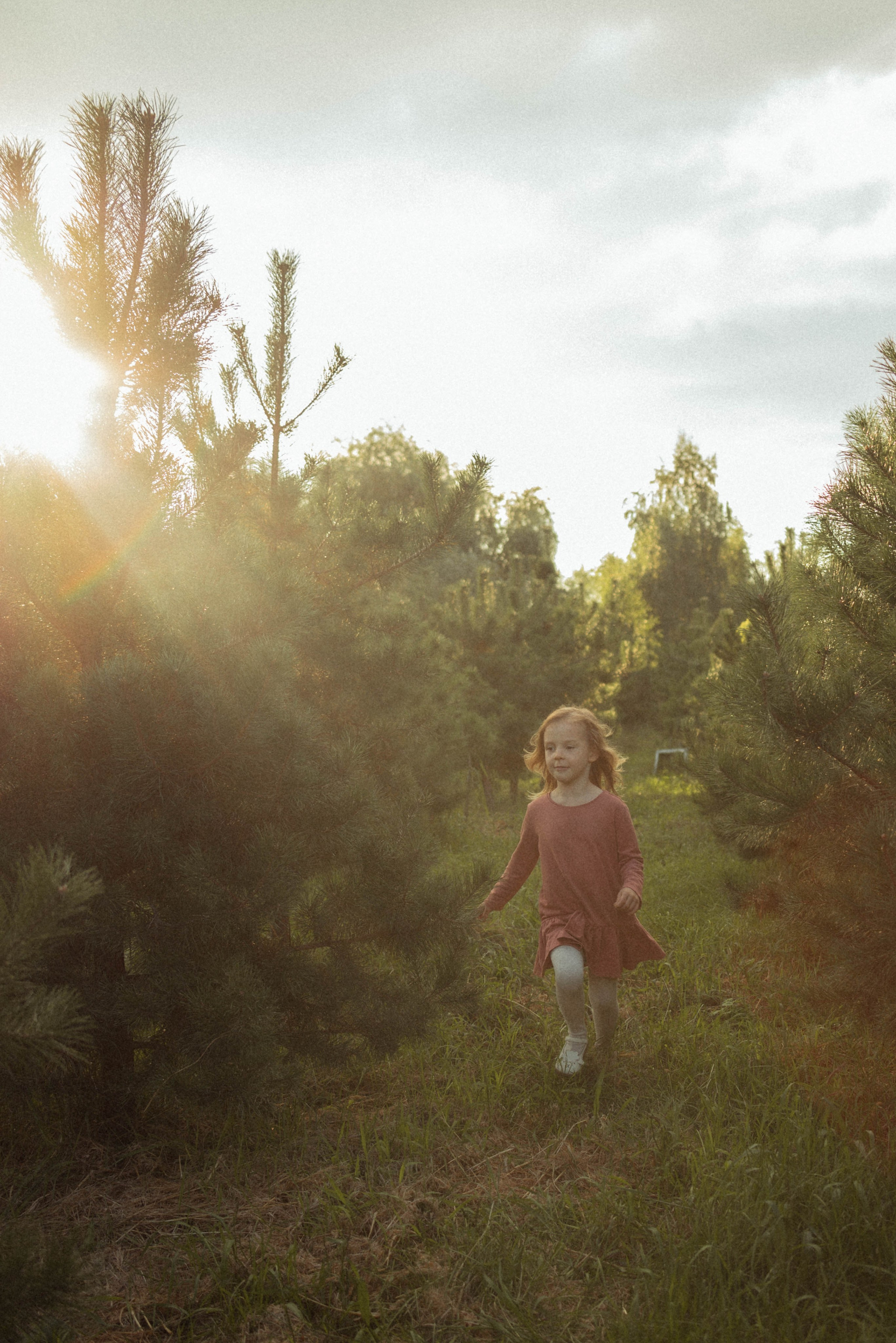 Семейная фотосессия на природе. Семейный фотограф в Железнодорожном Масаева Елена