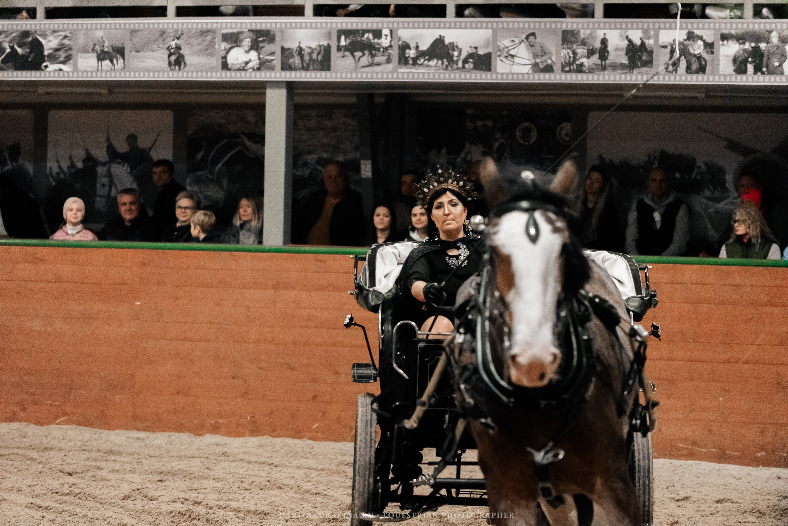Конное представление «Дыхание Звёзд». Конный фотограф Куракина Дарья • Фотосессии с лошадьми