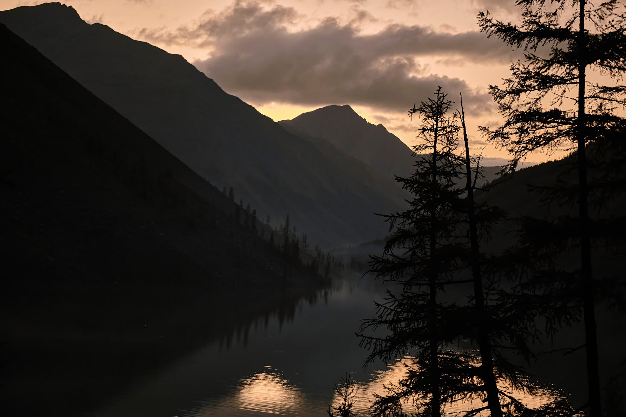 Путешествия/Живопись. Организация фото/видео съемки, Москва