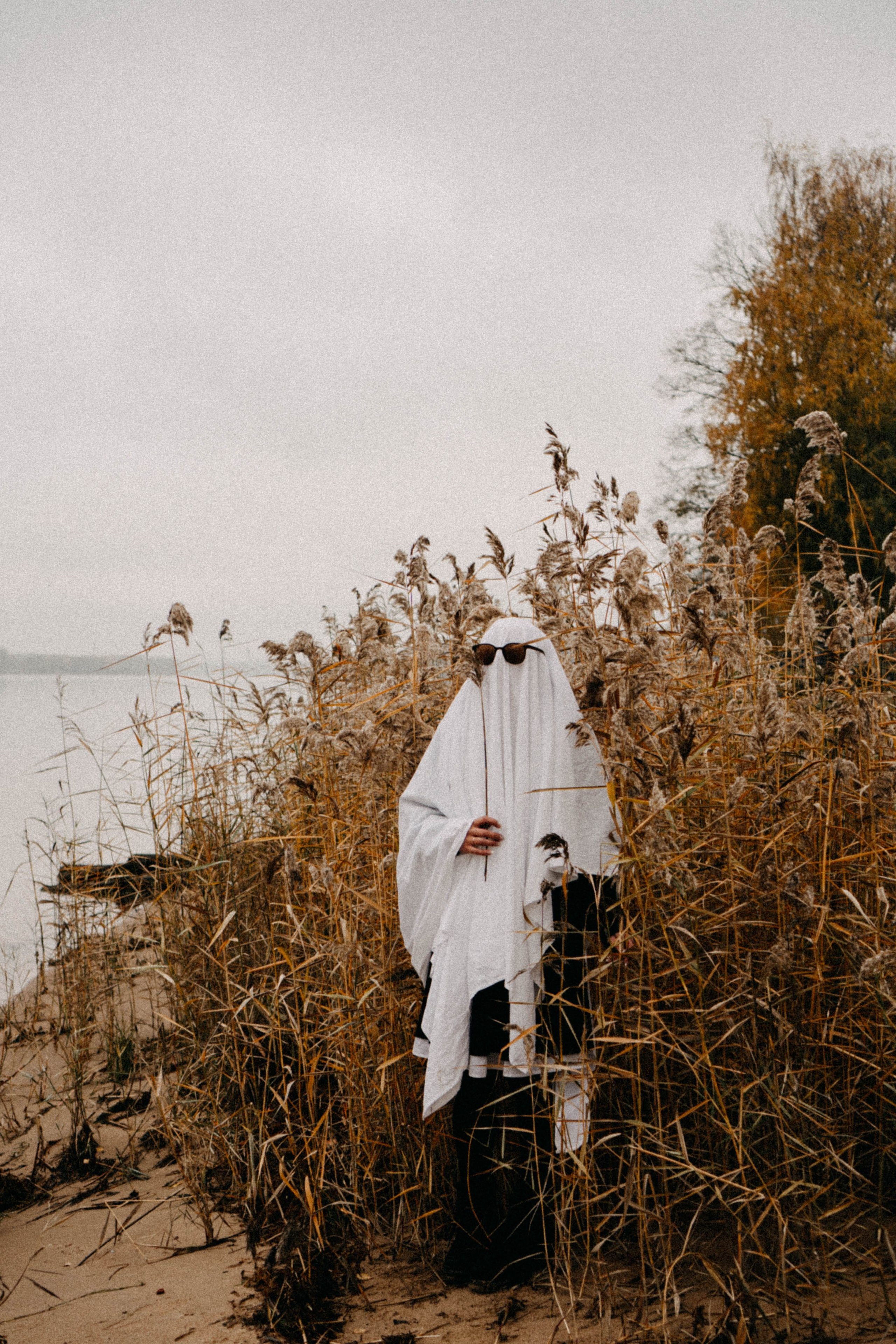 Осеняя. Профессиональный фотограф, Санкт-Петербург — Виктория Богомолова