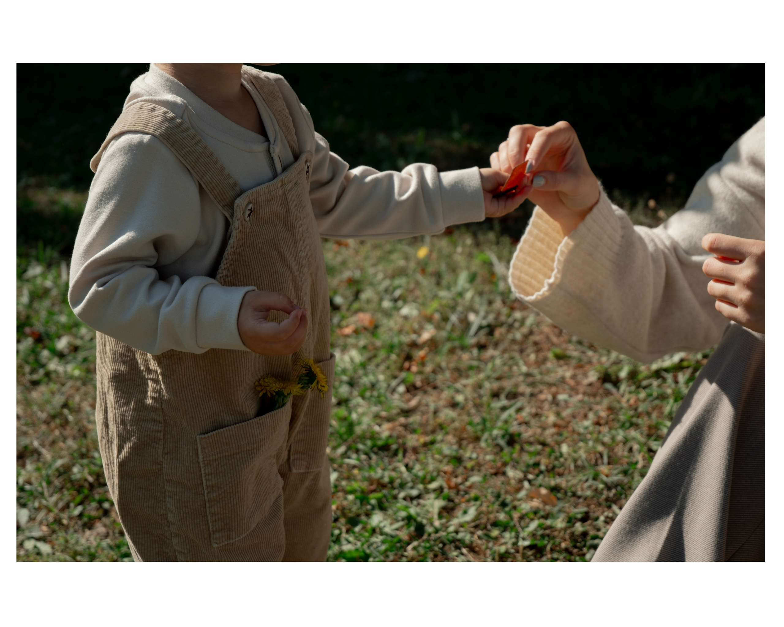 Семейные. Анна Дериглазова | Коммерческий фотограф в Москве