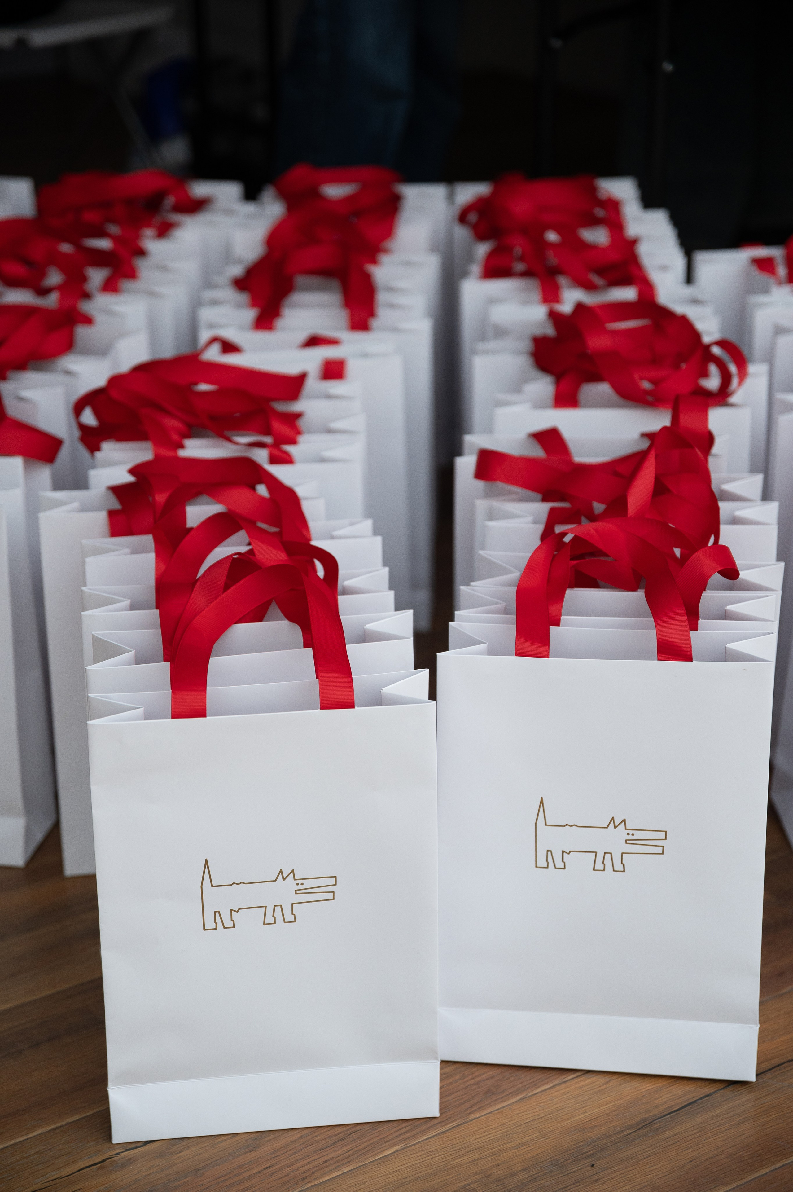 Бекстейдж показа «Новые Имена» собака.ru|ДЛТ. Портретный и репортажный фотограф в Санкт-Петербурге