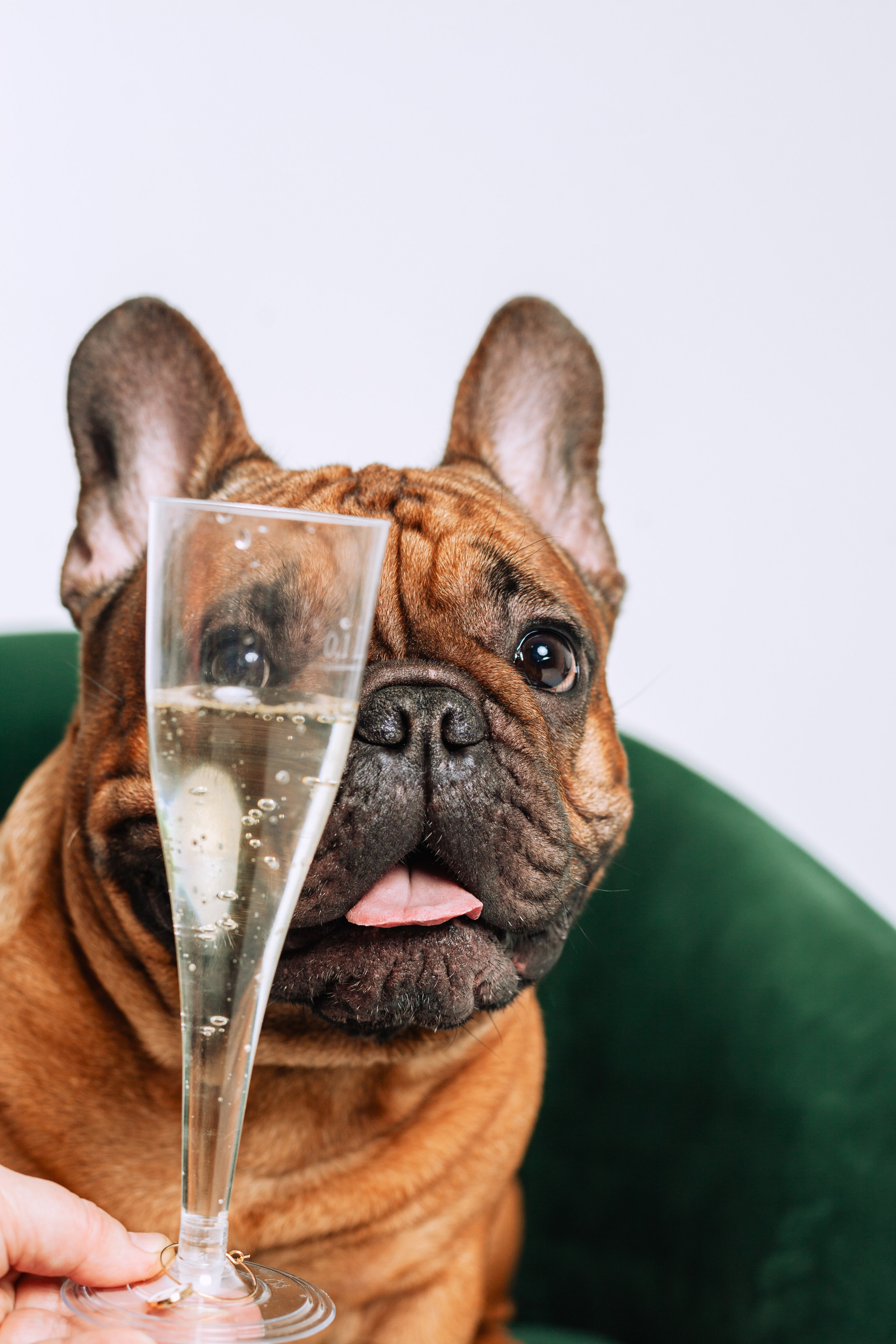 Бульвстреча 2025. Фотограф-анималист Татьяна Степанова