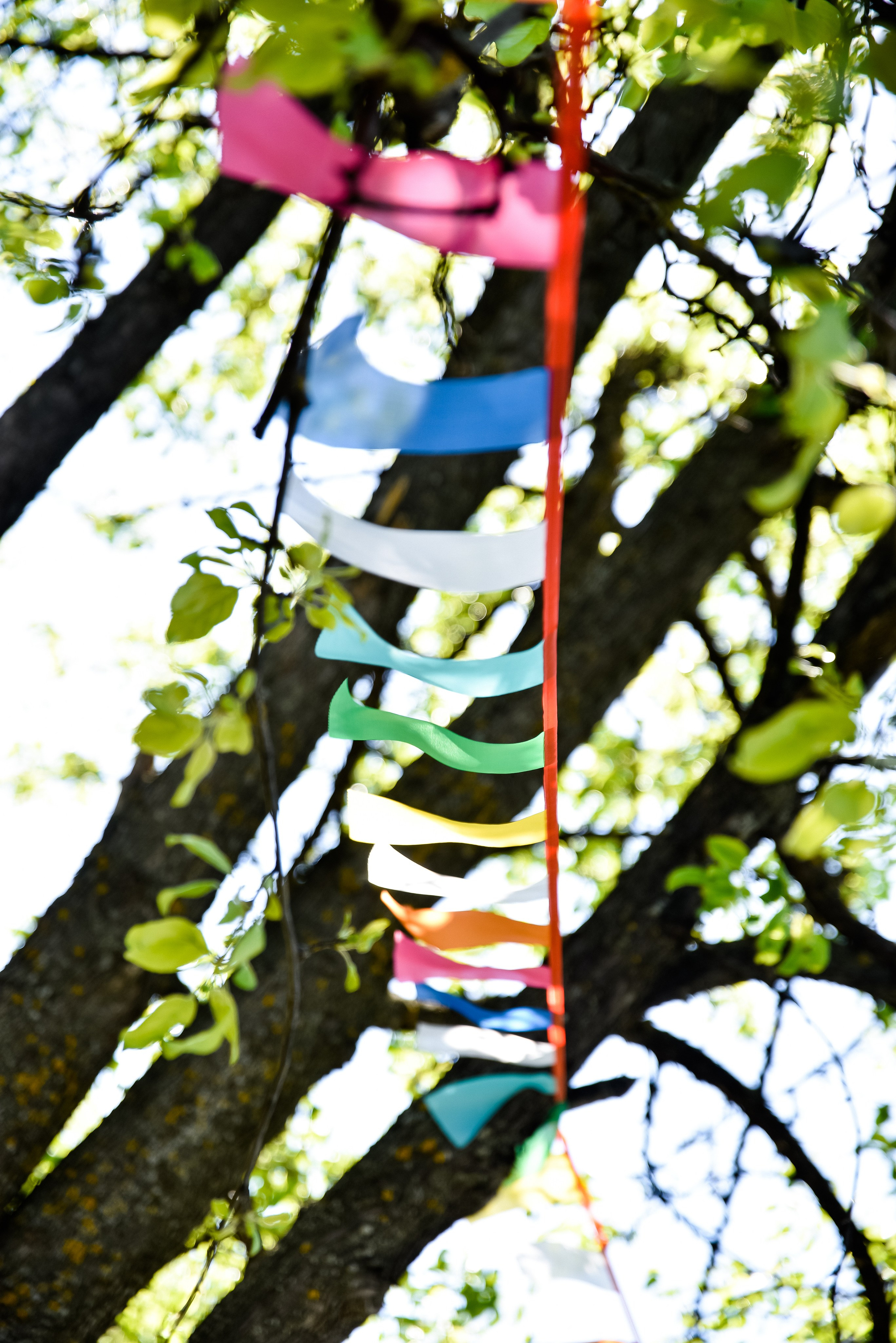 Софии 10 лет