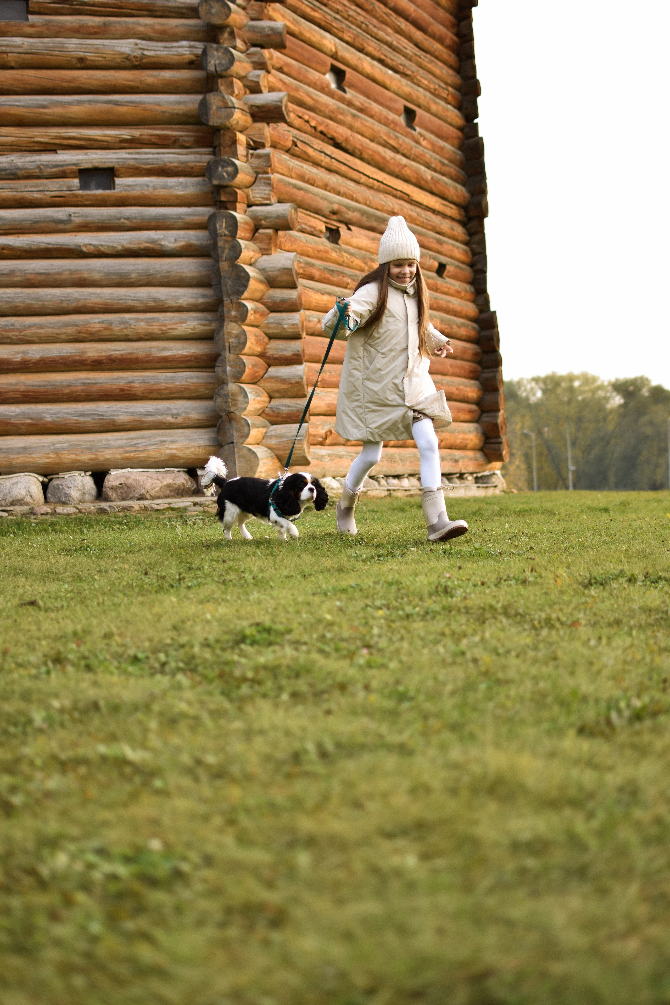 Молли, Кристина и Полина. Фотограф-анималист Ксения Шевцова|Москва
