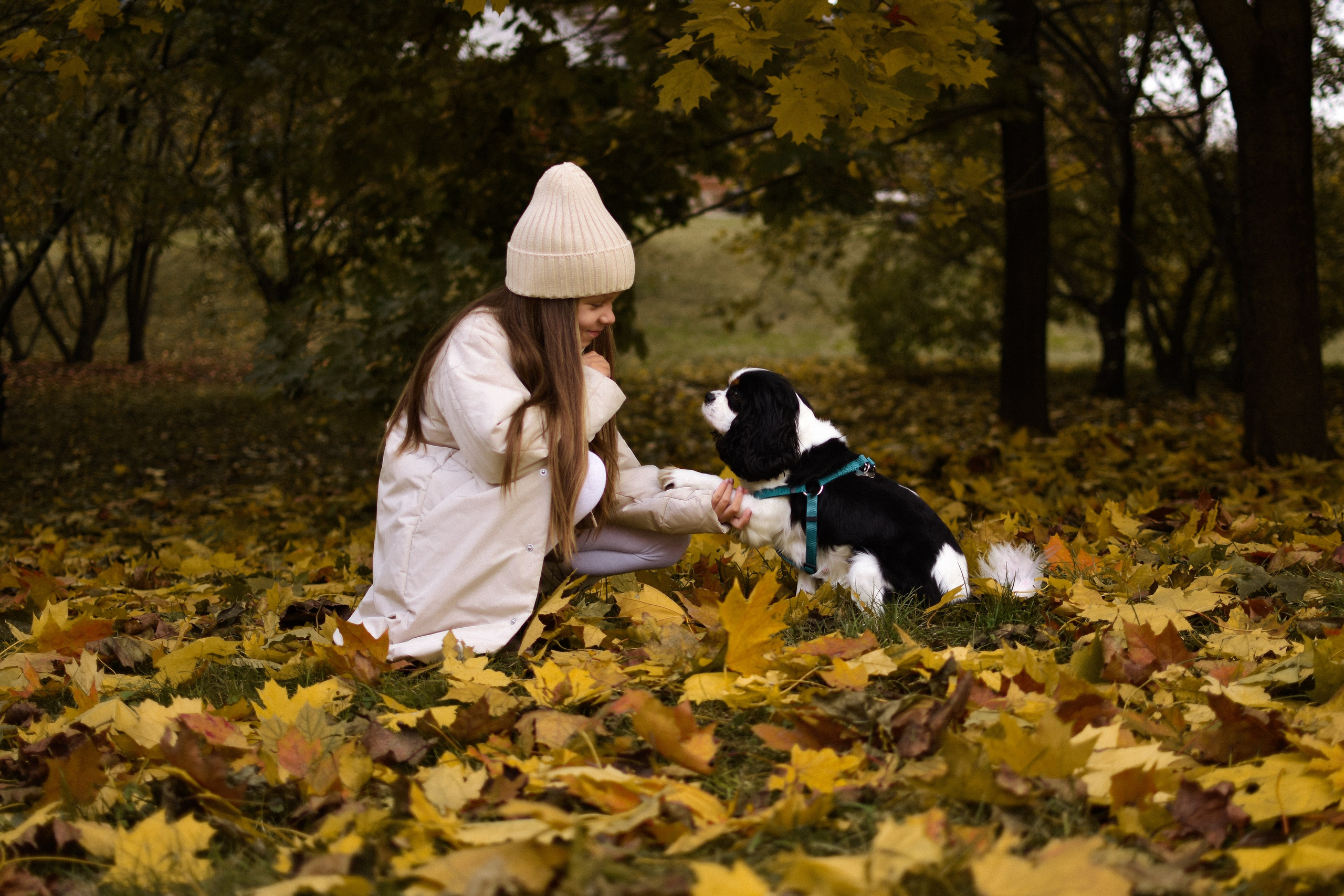 Молли, Кристина и Полина. Фотограф-анималист Ксения Шевцова|Москва
