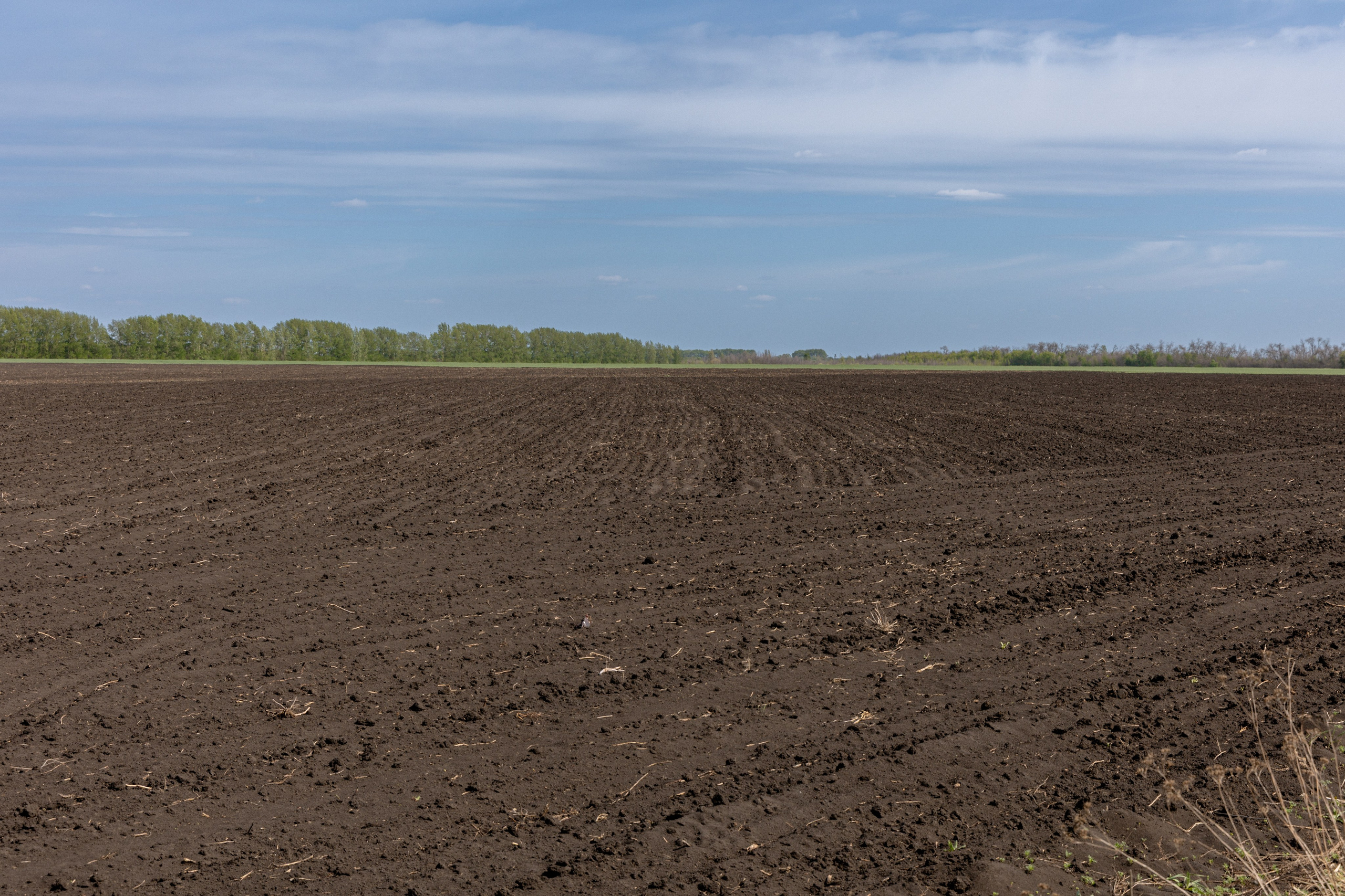 Земельный участок с объектами на нём. Владислав Волков | Фотография и видеосъемка в Воронеже