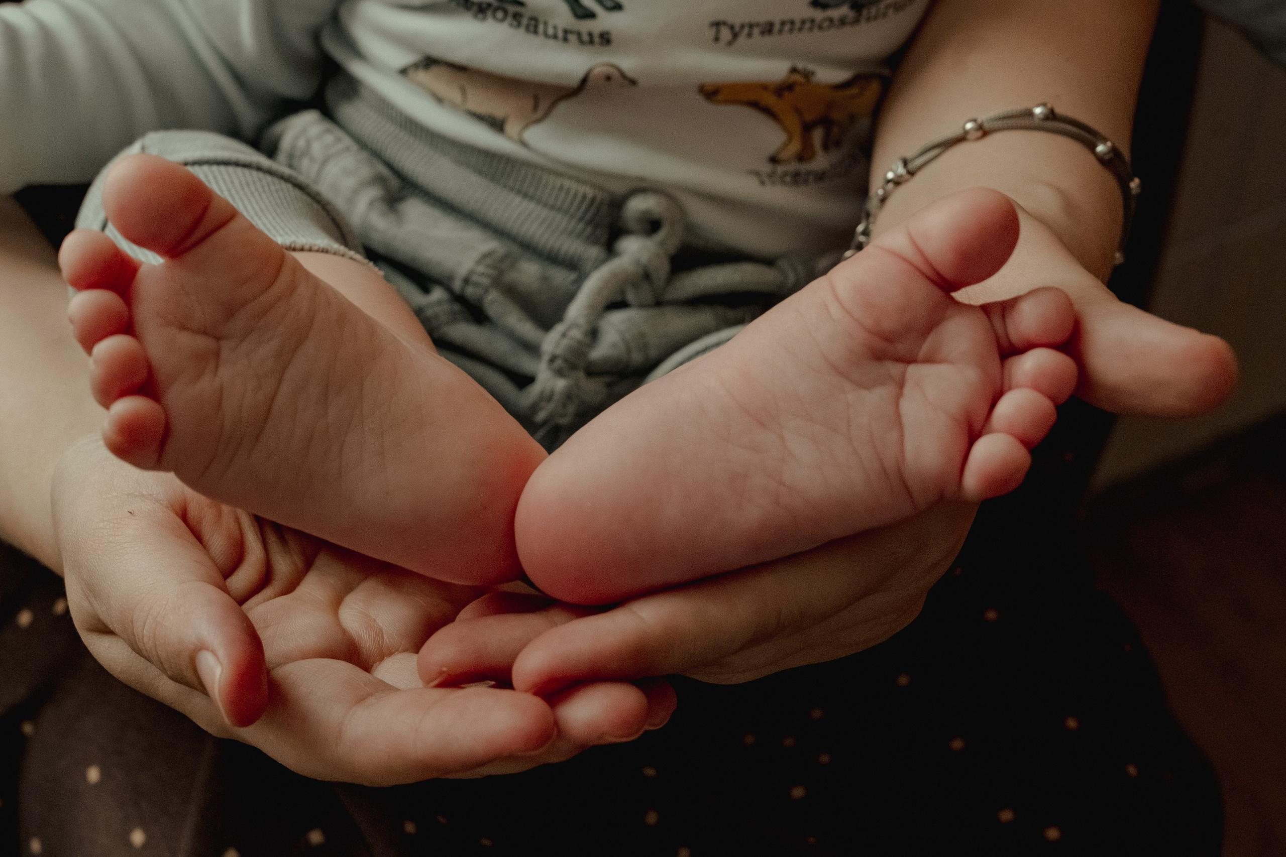 Первая ёлка