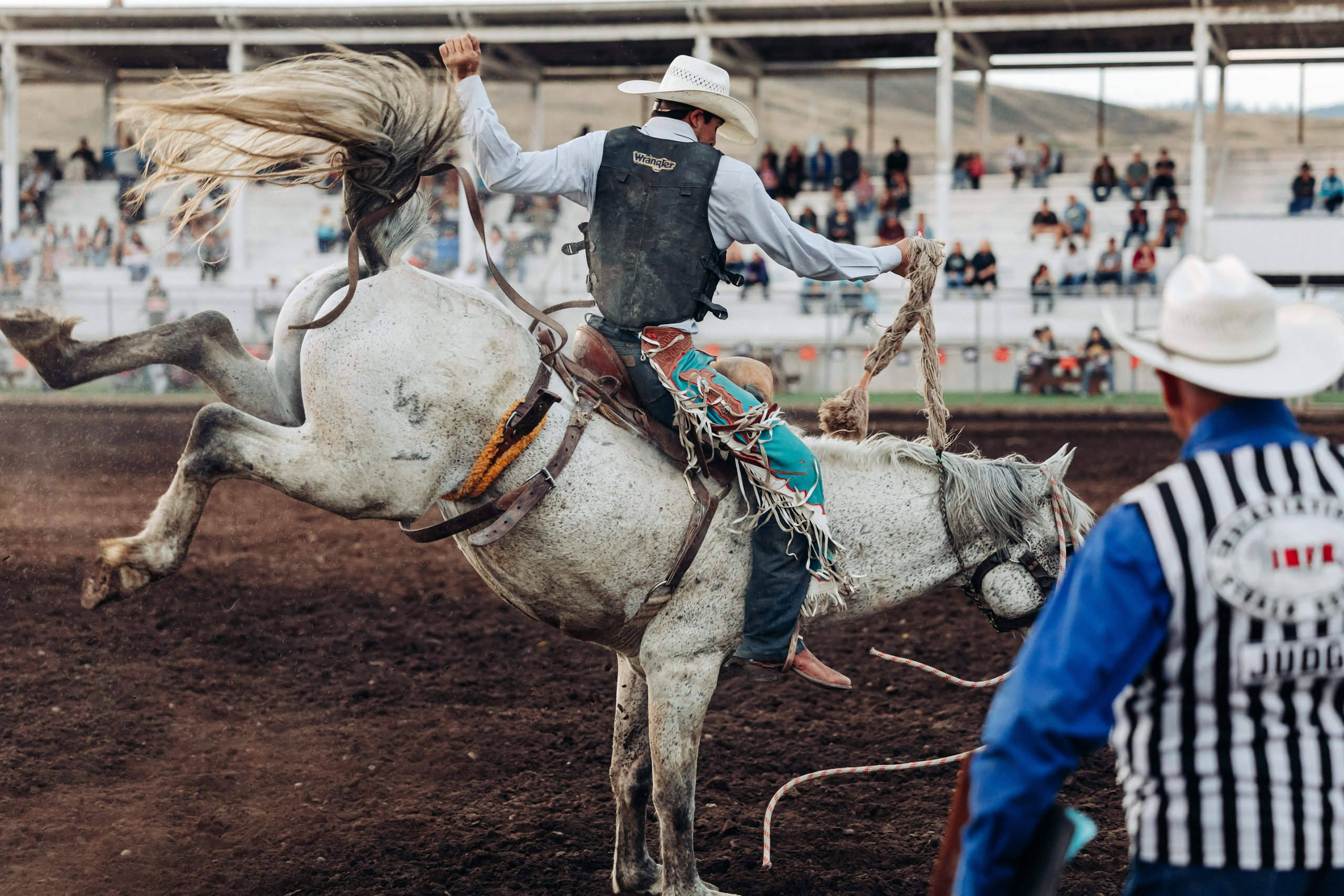 Белая лошадь на родео. Цветокоррекция Victory photo