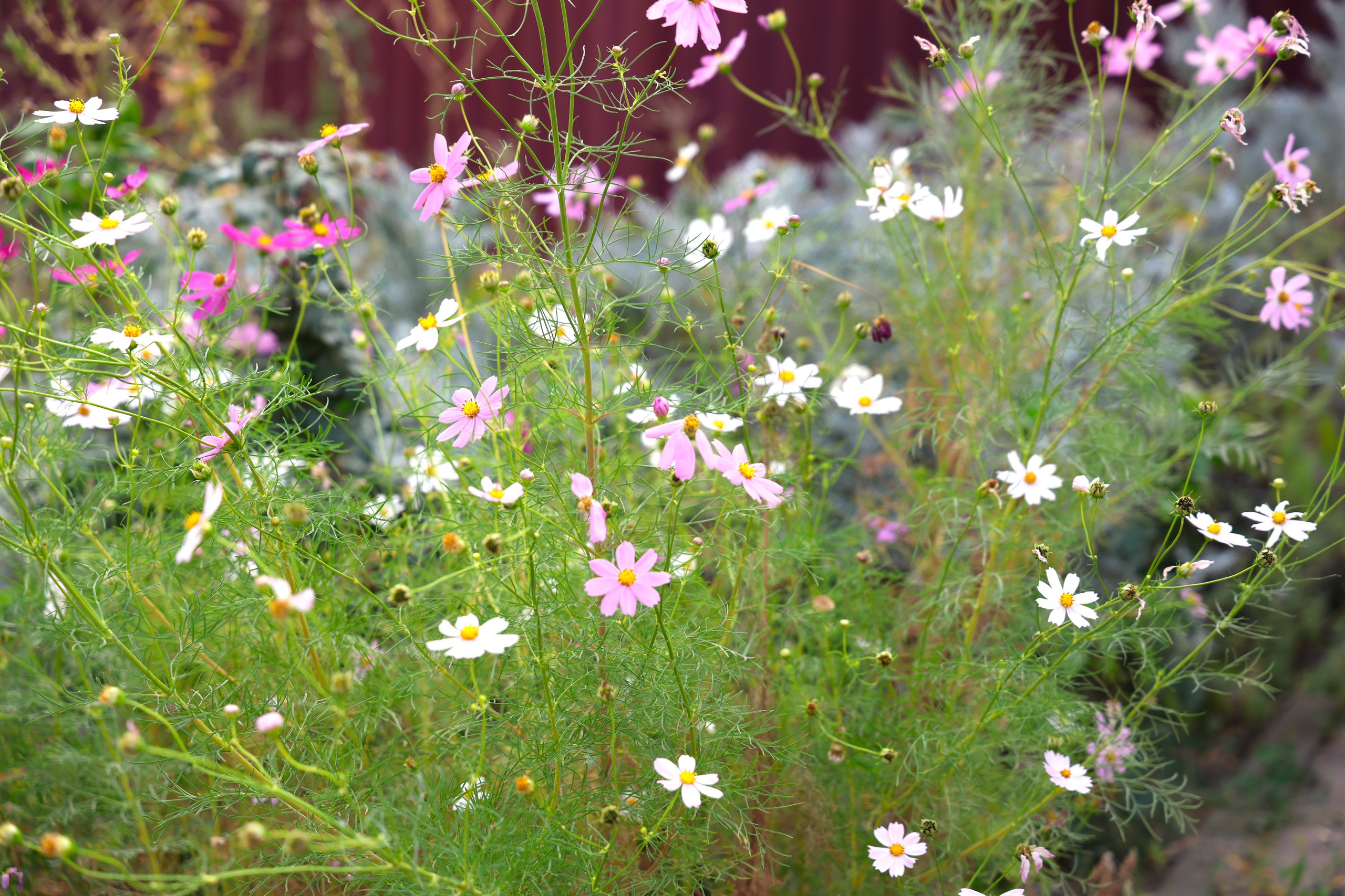 Ставрополец — Оздоровительный пансионат | с. Широкая Балка г. Новороссийск