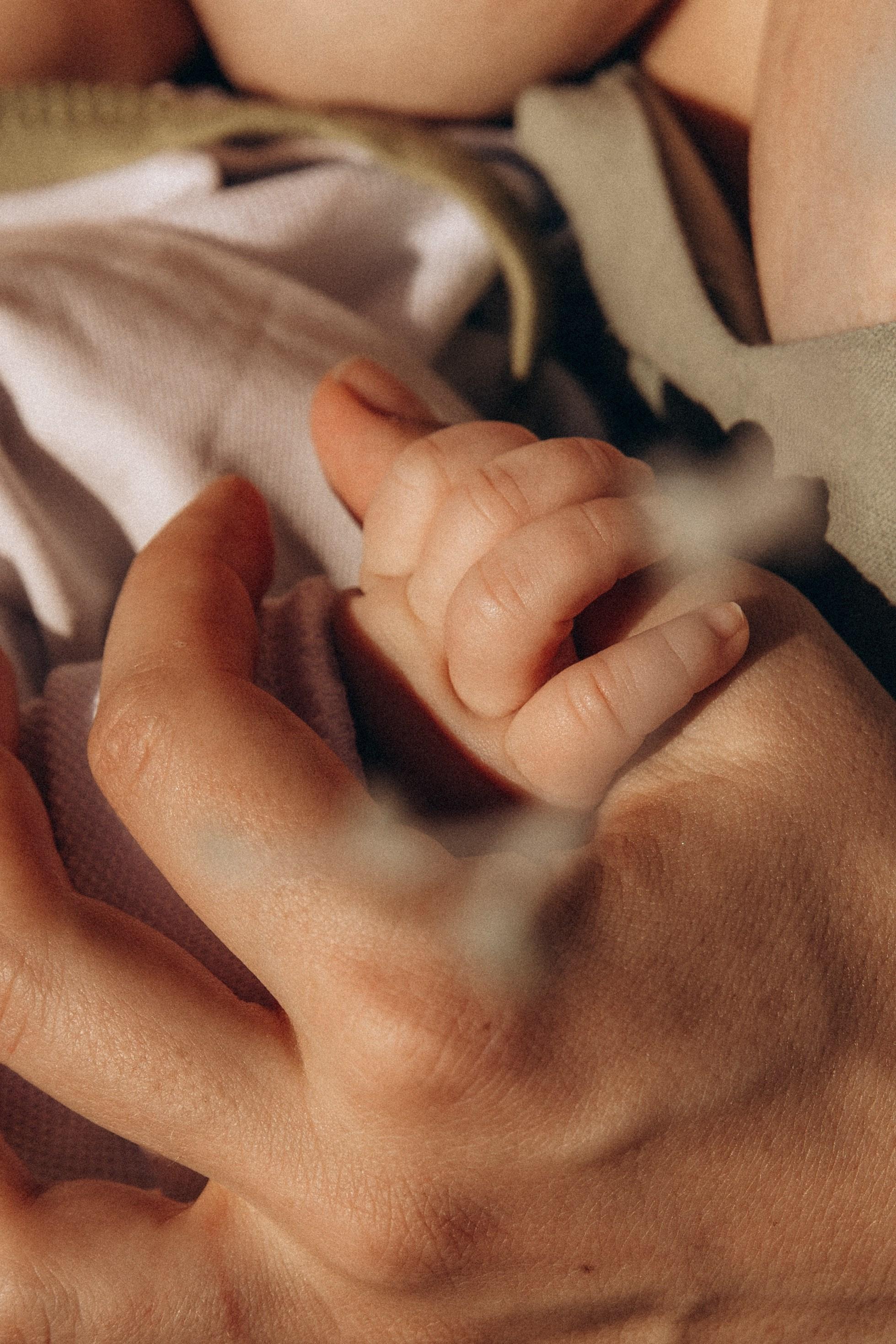 Семья дома. Фотограф в Нижнем Новгороде Воробьева Анжела