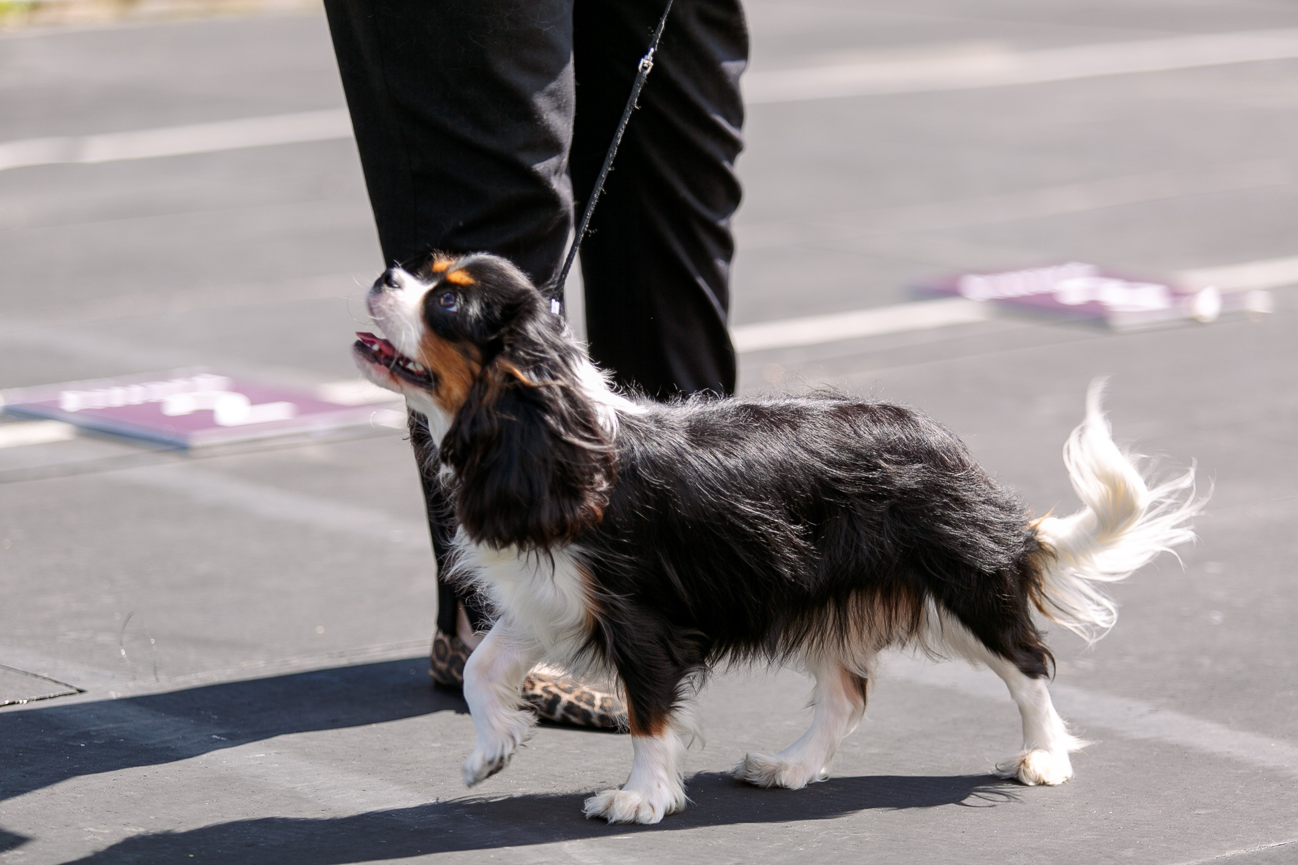 Окунулась вновь в атмосферу выставки…. Школьный фотограф в Туле Светлана Привезенцева