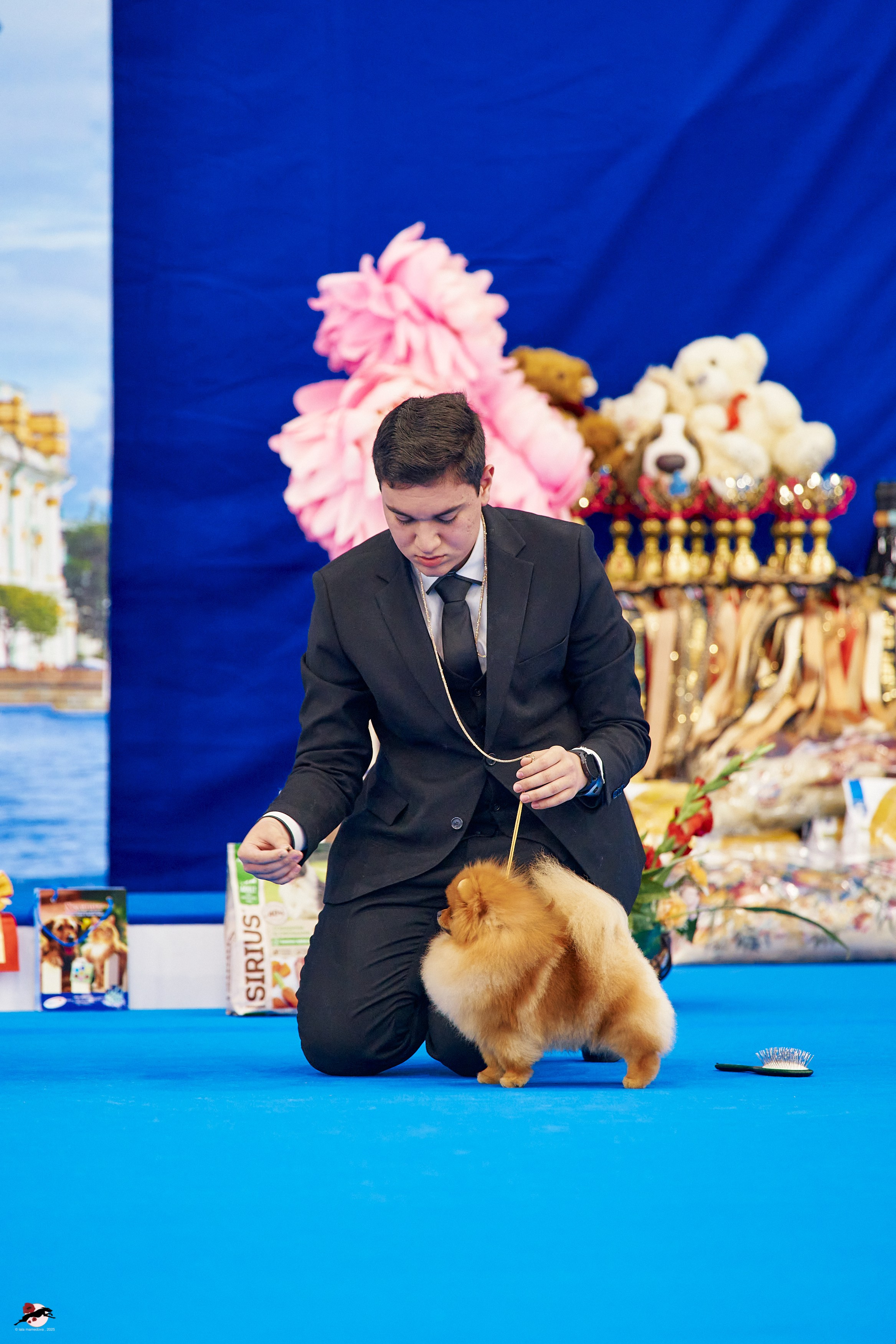 27.04.2025 | "Петербург-Элита 2025" & «КУБОК «ЭЛИТЫ»-2025»