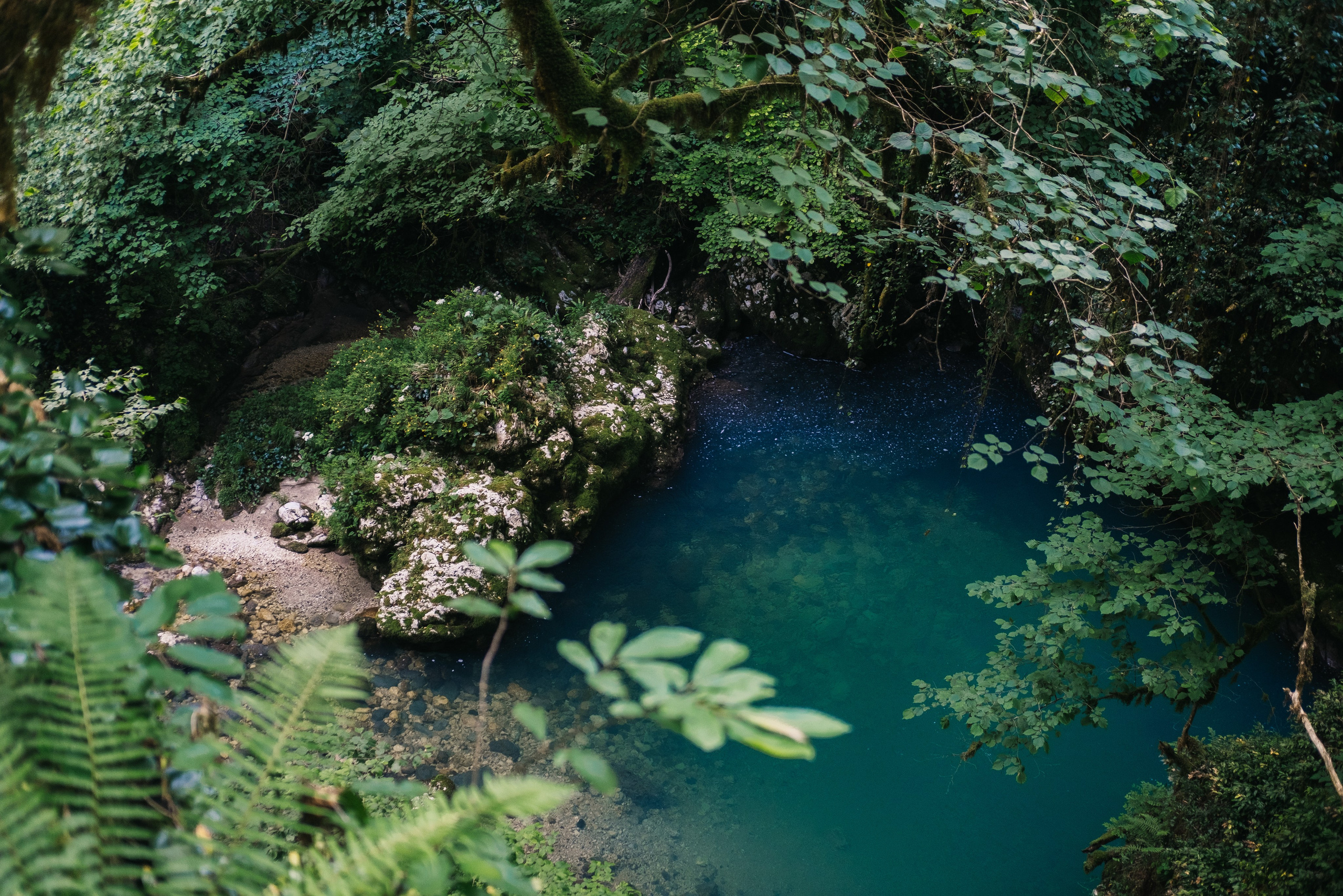 Шубарский водопад. Свадьба в Абхазии|Фотограф в Абхазии