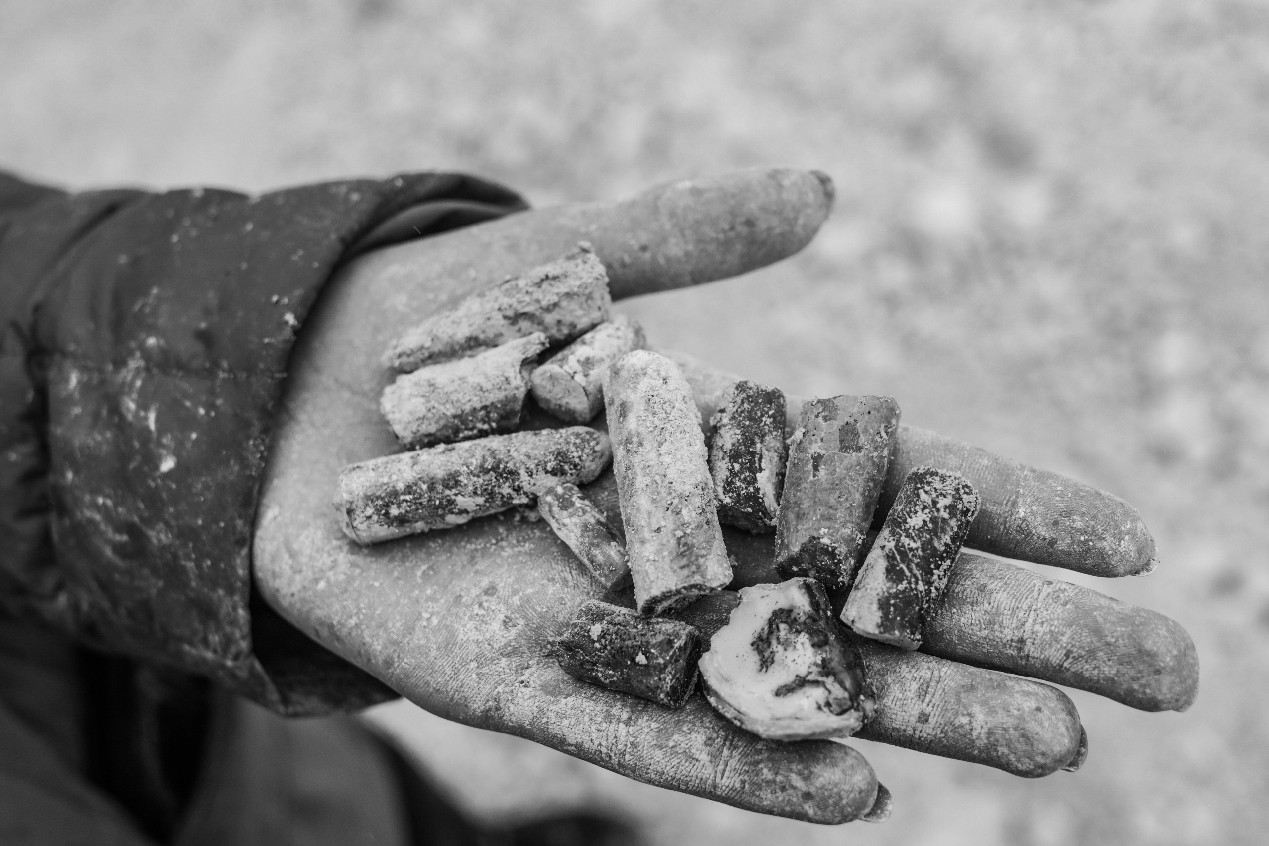 СКВОЗЬ ВРЕМЯ. Ekaterina Ageeva