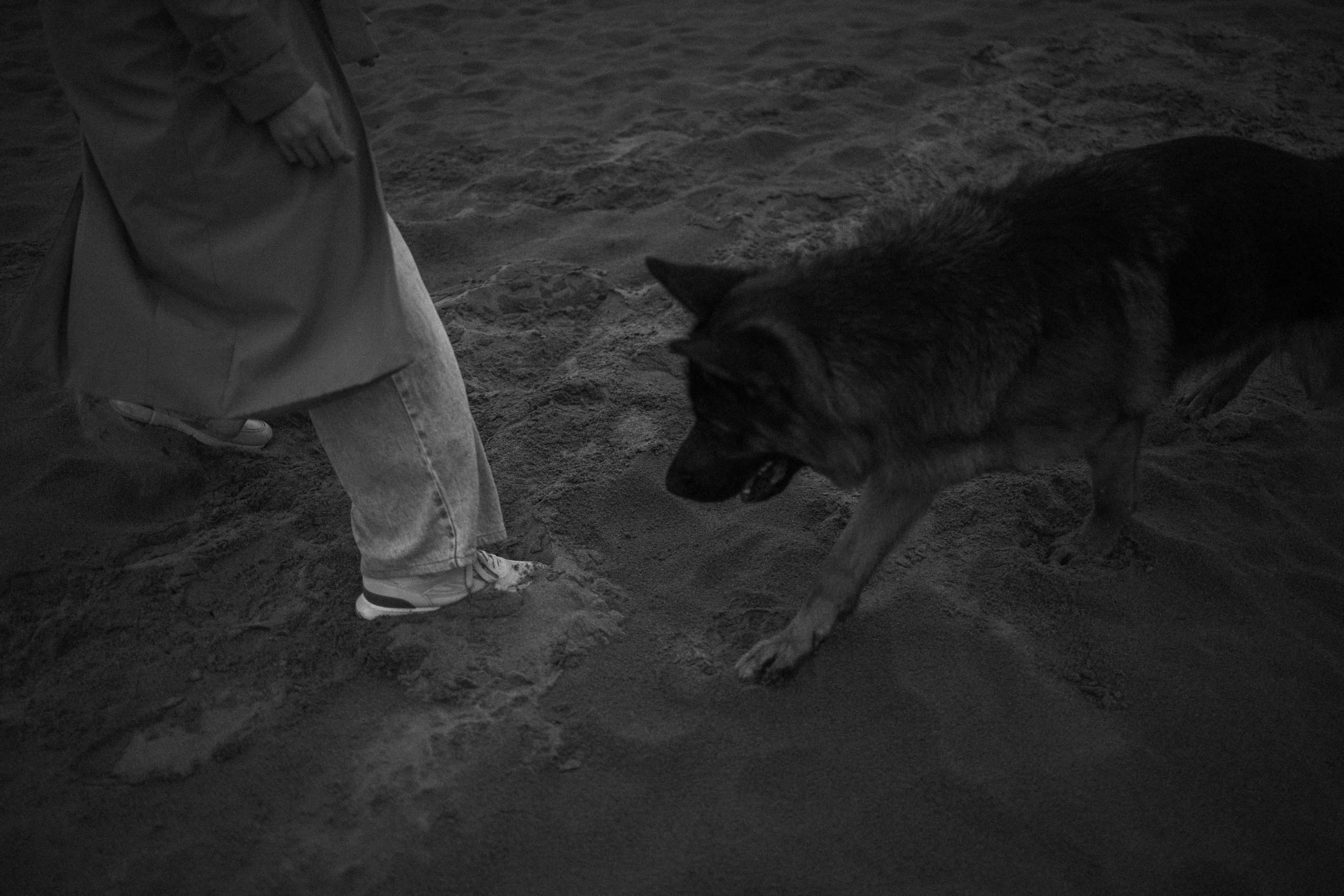 Катя и Агат. Фотограф — Анималист | Санкт-Петербург