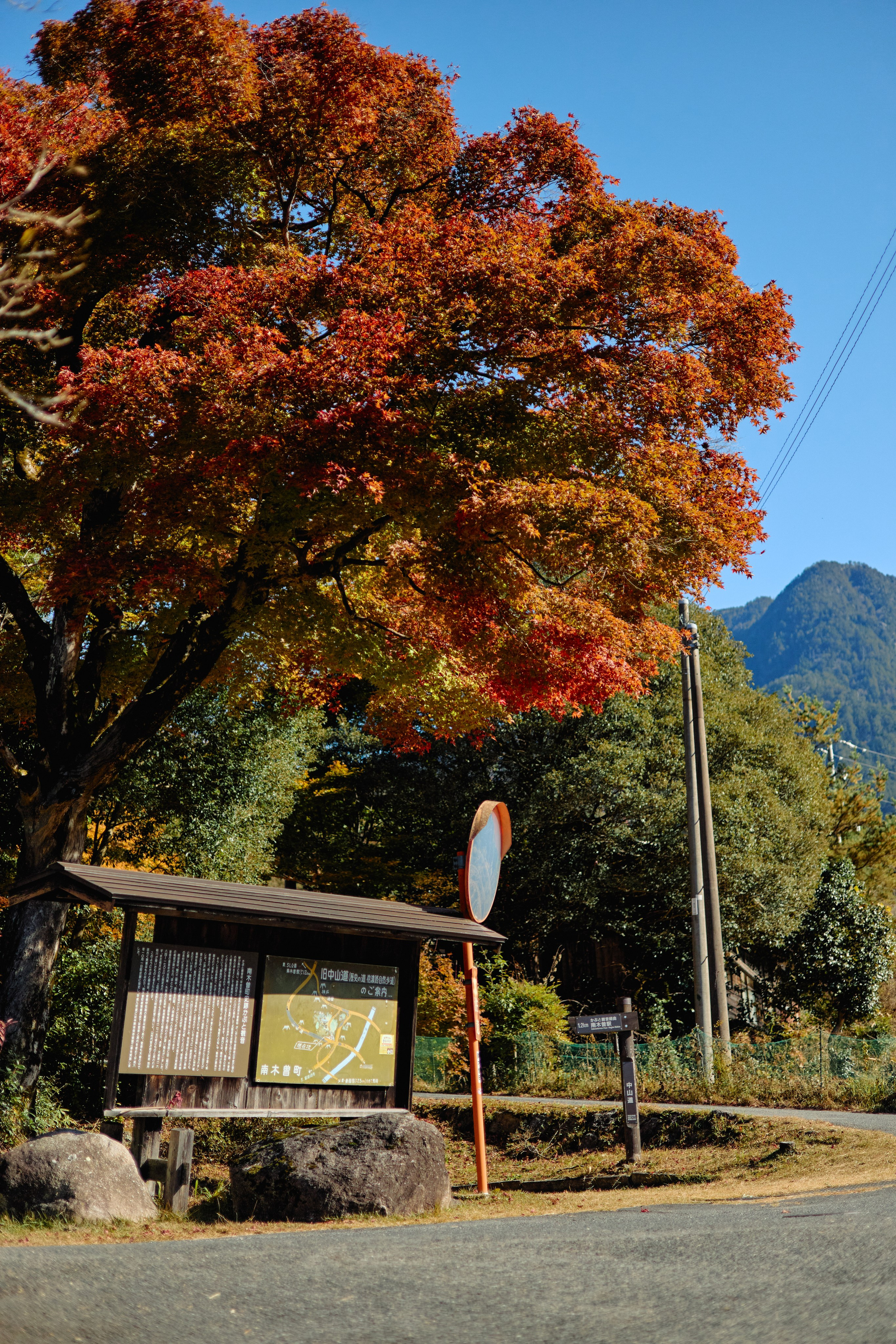 Япония. Профессиональный Фотограф во Владимире, в Москве и в Суздале — Полина Романычева