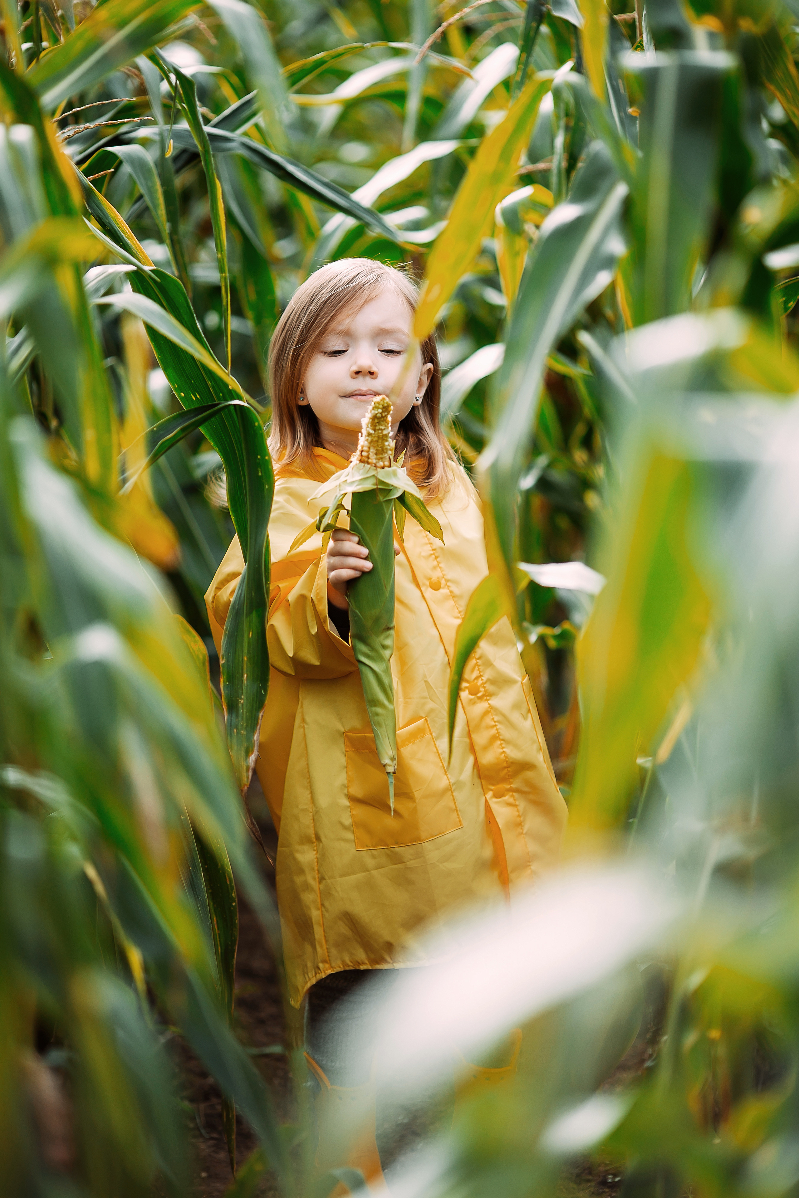 Мини фотосъёмка в кукурузе, или 6 попыток Мирославы улыбнуться😬. Семейный и детский фотограф в Пскове и Санкт-Петербурге Яна Калинина