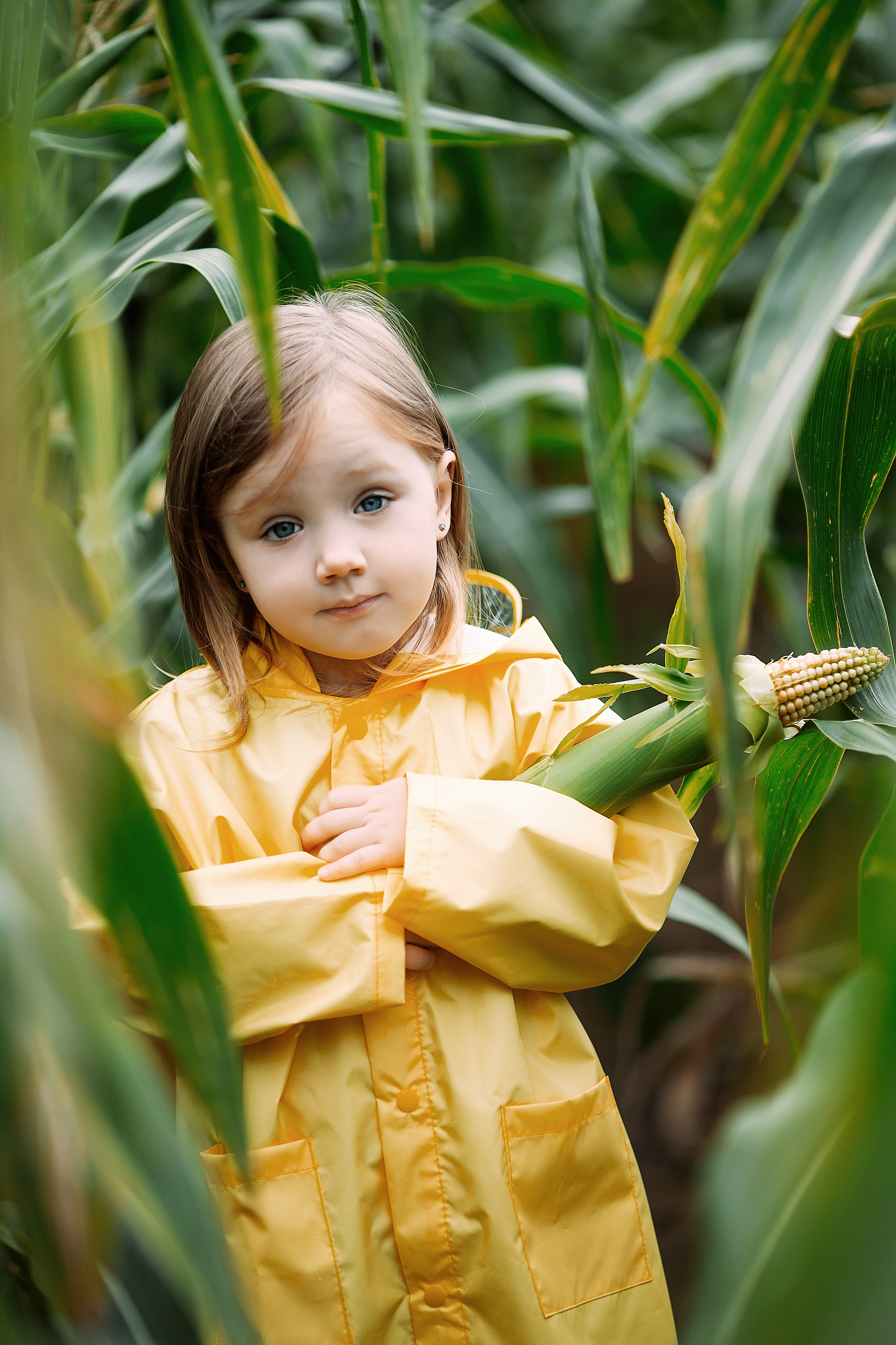 Мини фотосъёмка в кукурузе, или 6 попыток Мирославы улыбнуться😬. Семейный и детский фотограф в Пскове и Санкт-Петербурге Яна Калинина