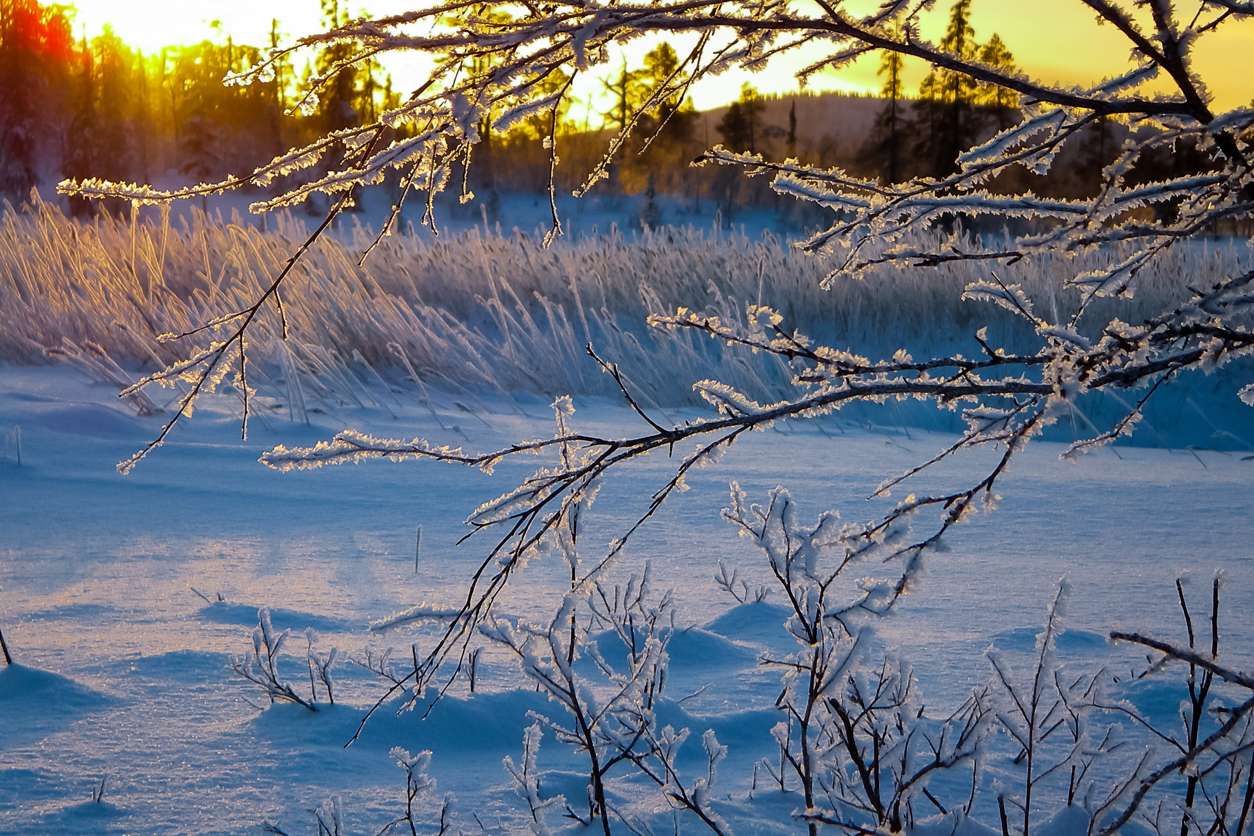 Зима. Пейзажи Крайнего Севера. Баренцево море, Рыбачий, Средний, Немецкий