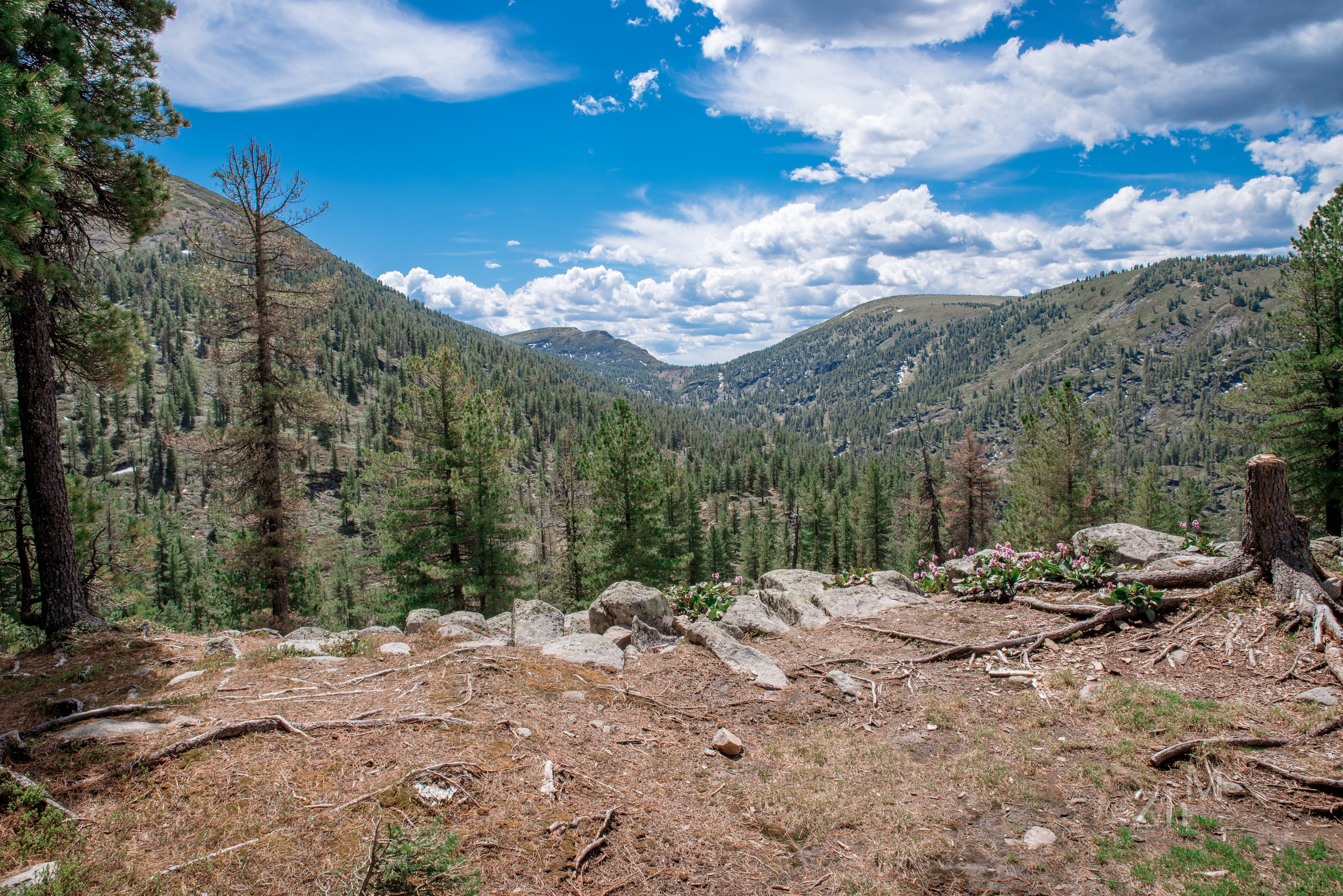 Пейзажи. Семейный и свадебный фотограф в Иркутске Максим Жигалов