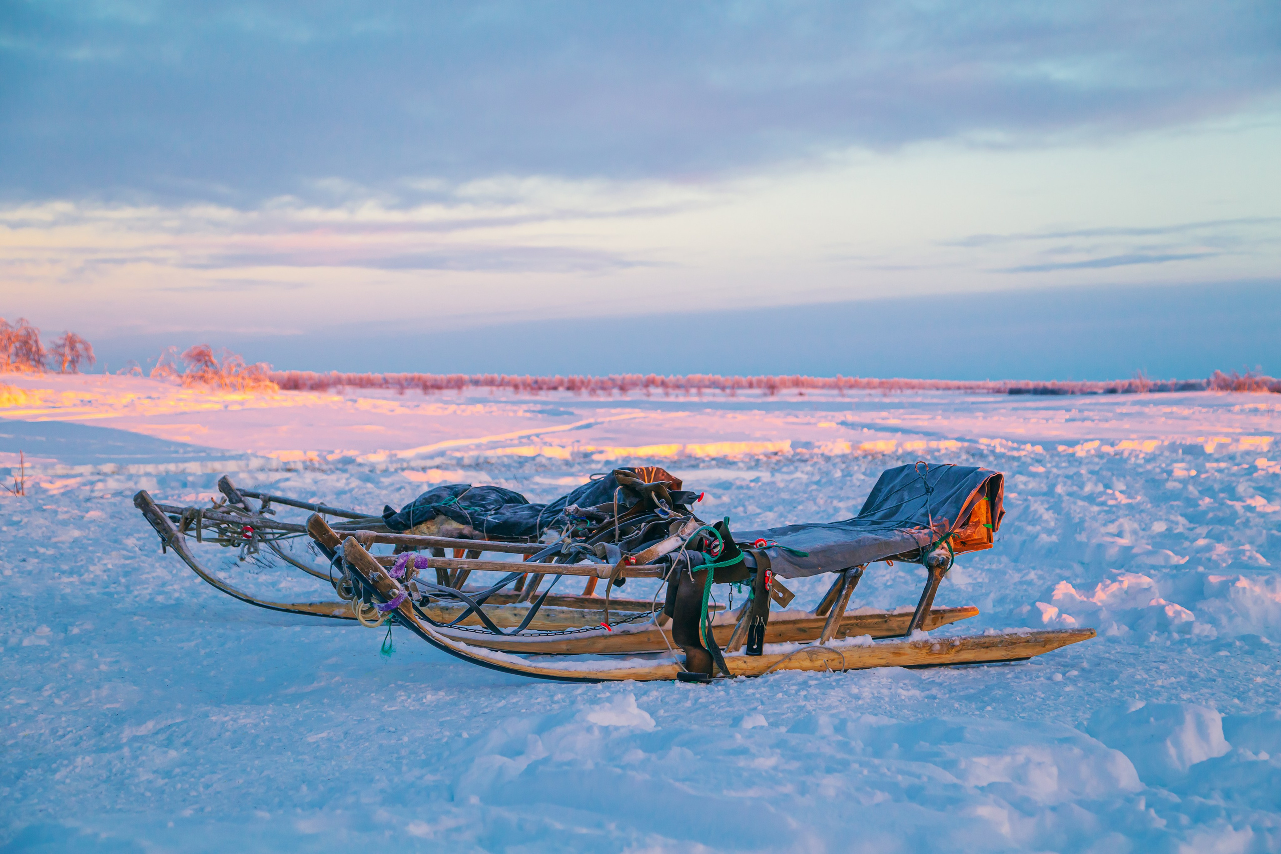 Ненецкий автономный округ. Тревел-фотограф Елизавета Ларионова