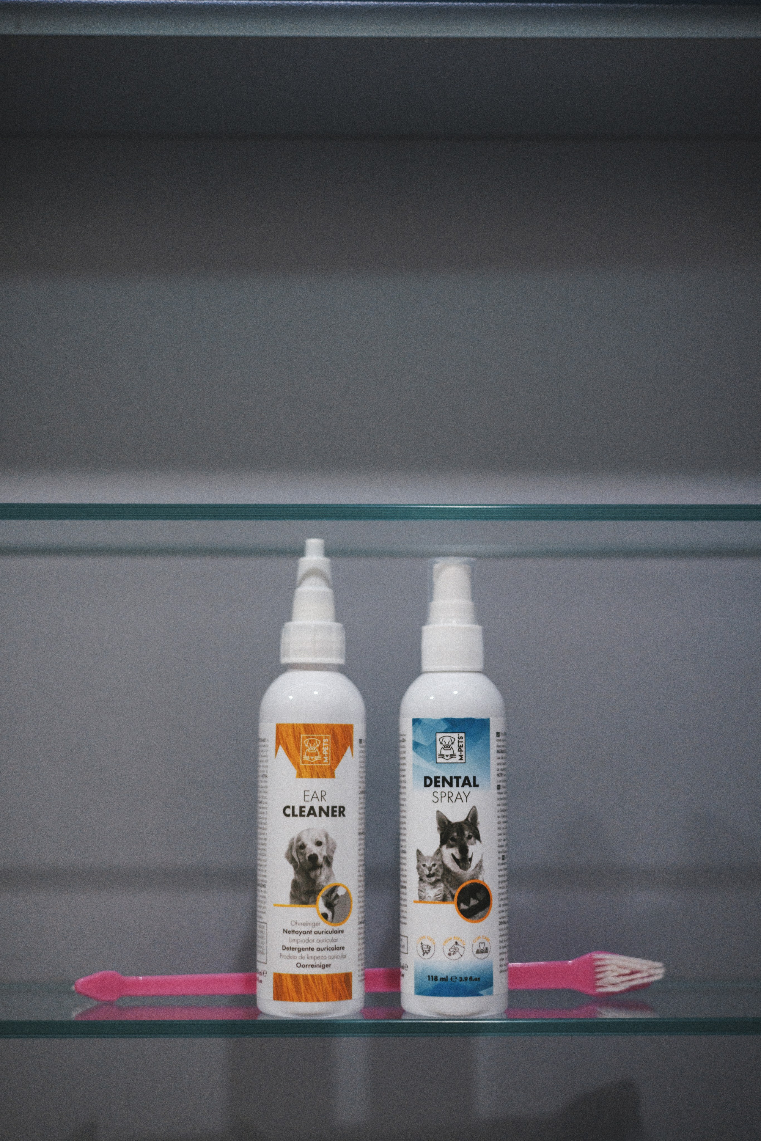 M-Pets. Фотограф анималист Осипчикова Мария