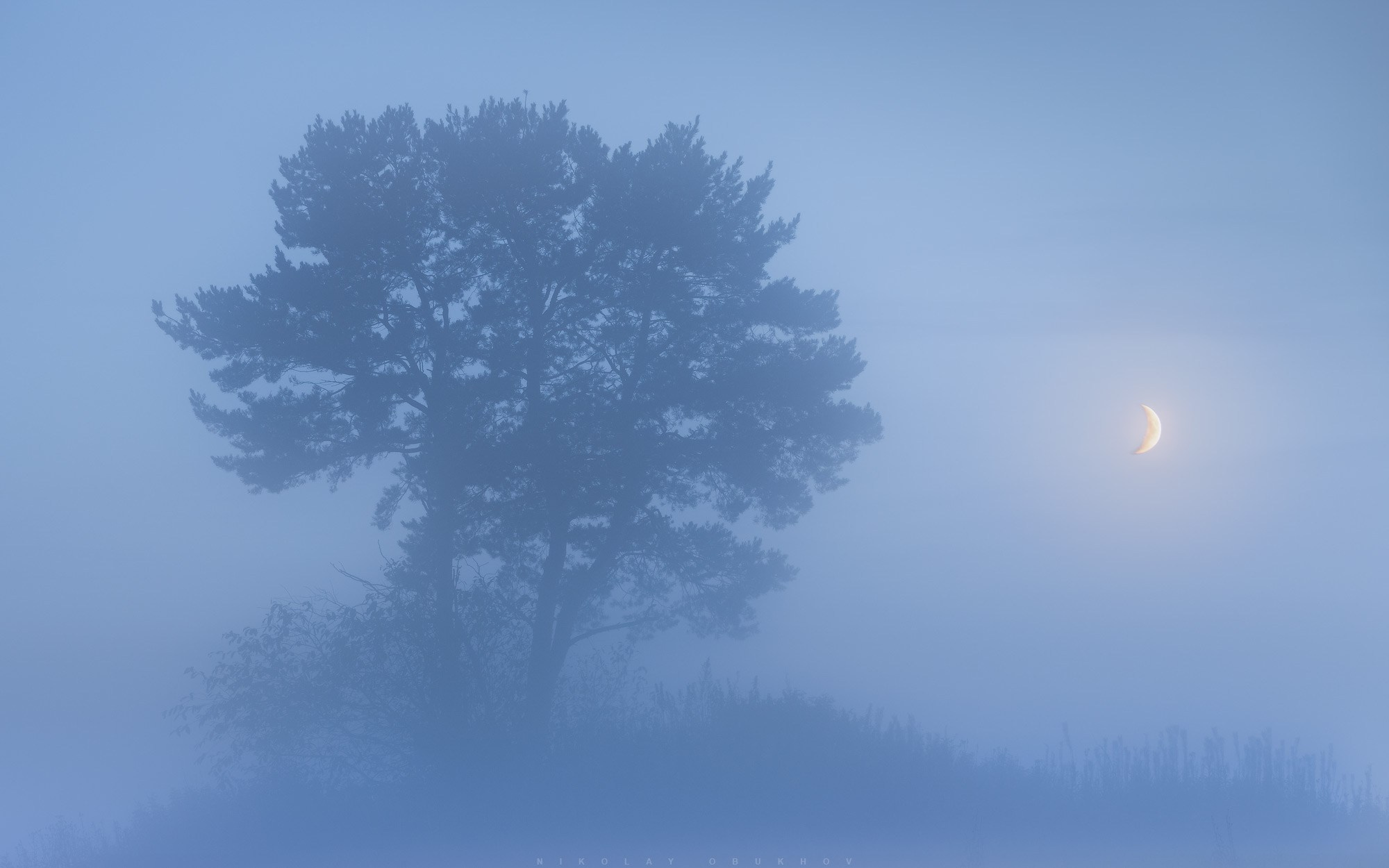 Летние пейзажи Черноисточинска | Фотограф Николай Обухов