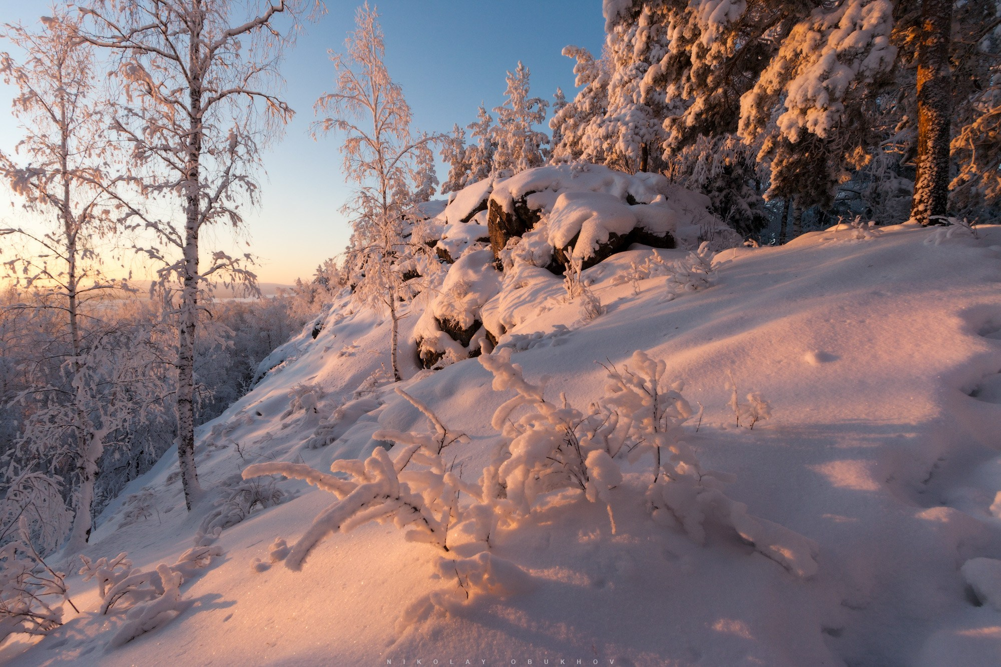 Заснеженный лес на рассвете в окрестностях поселка Черноисточинск возле Нижнего Тагила.