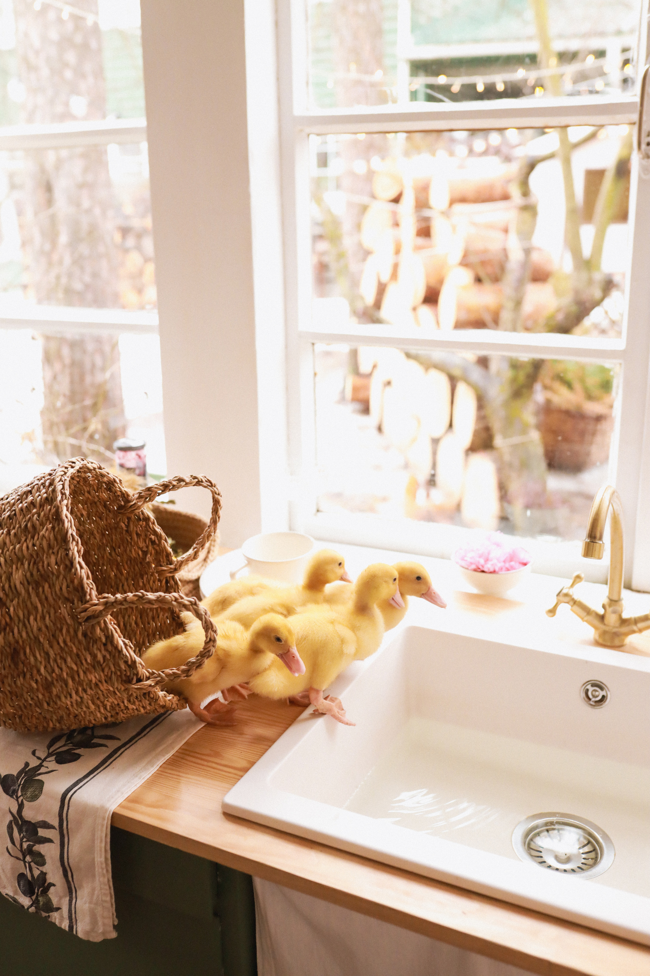 Катя Пасха. Детский и семейный фотограф Москва Виктория Самоховец